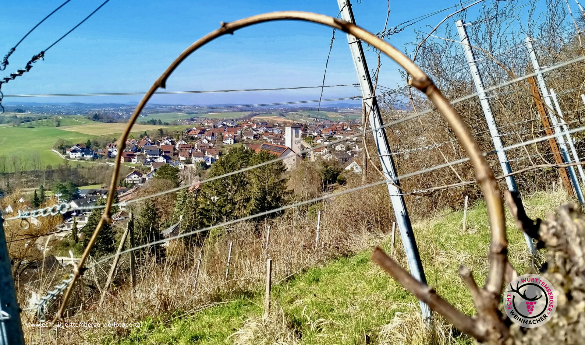 Halbbogen Cabernet Jura