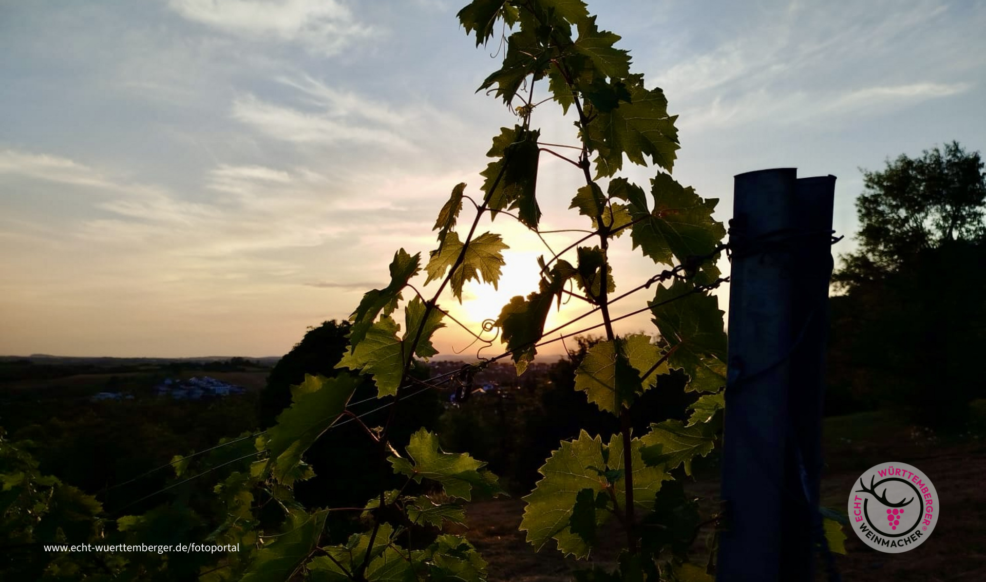 Abendstimmung