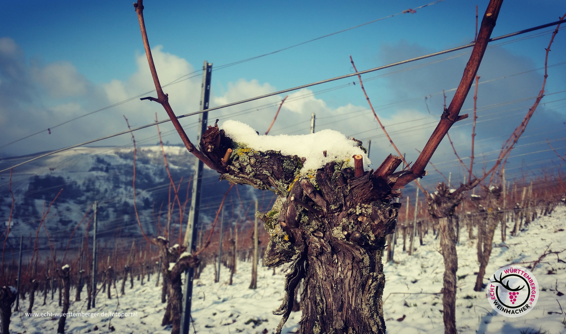 Winter im Remstal