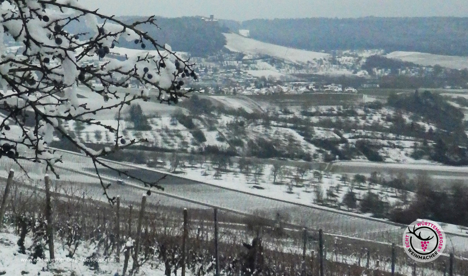 Winter im Wengert