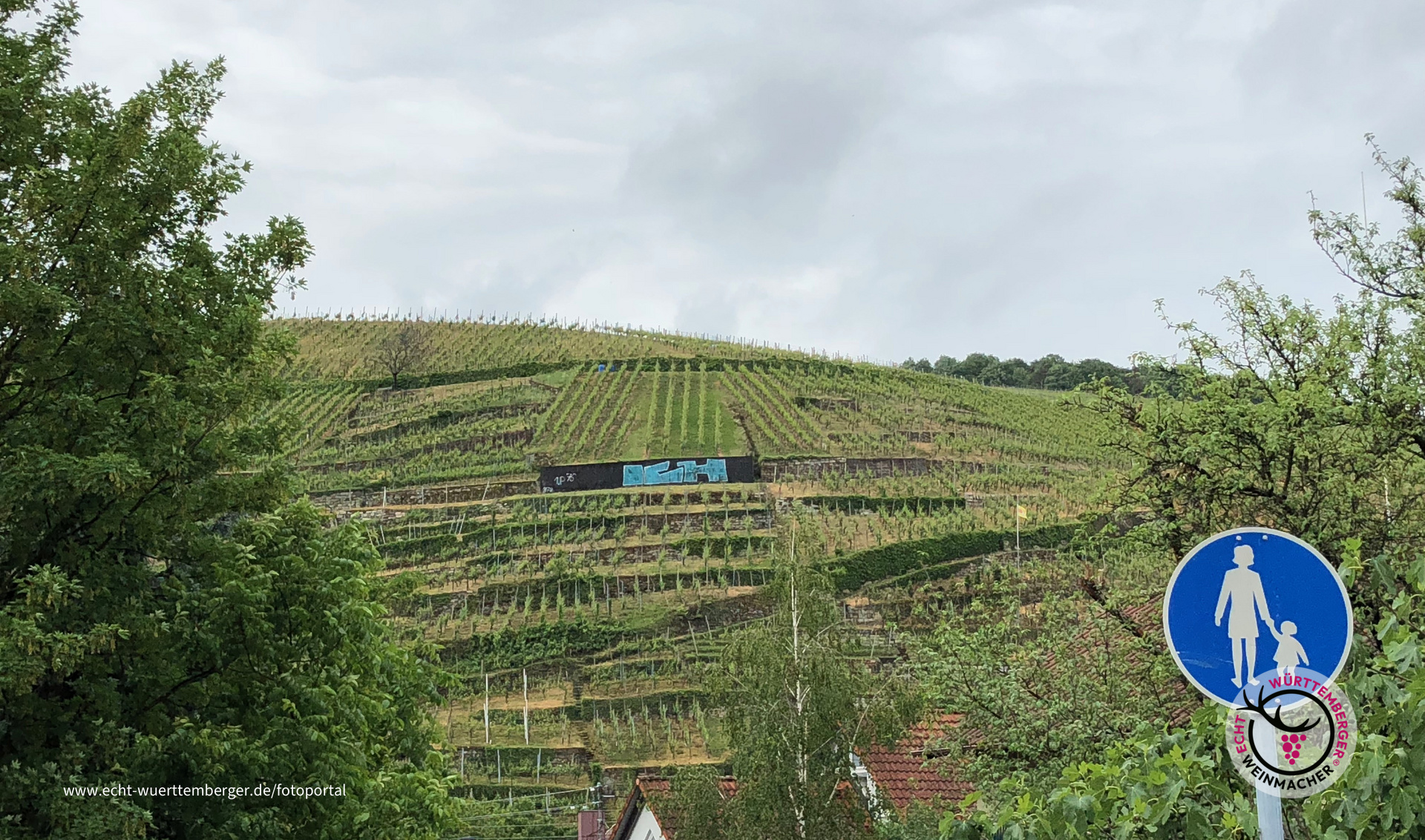 Wandern in den Weinbergen