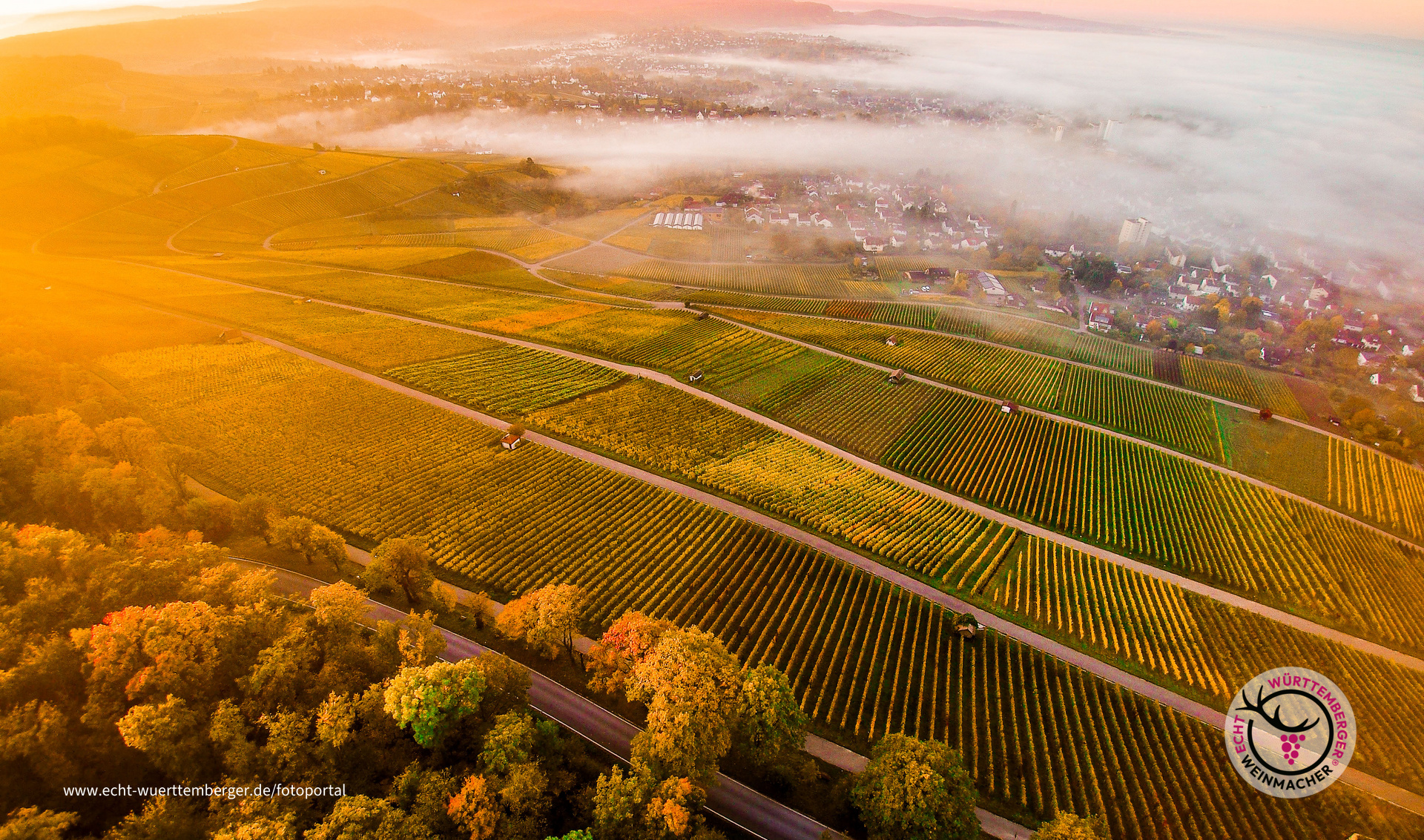 Magischer Herbstmorgen