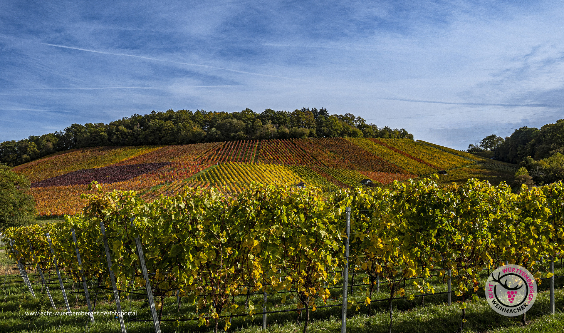 Die Farbpalette der Natur