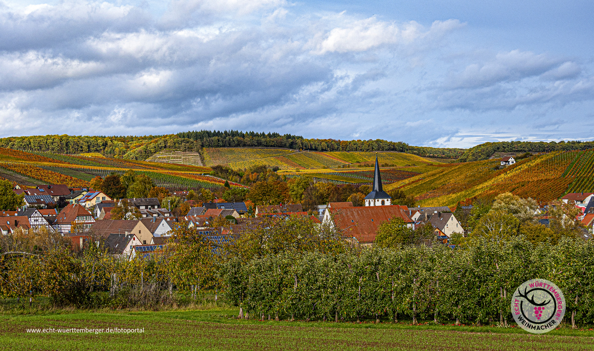 Weinland Zabergäu