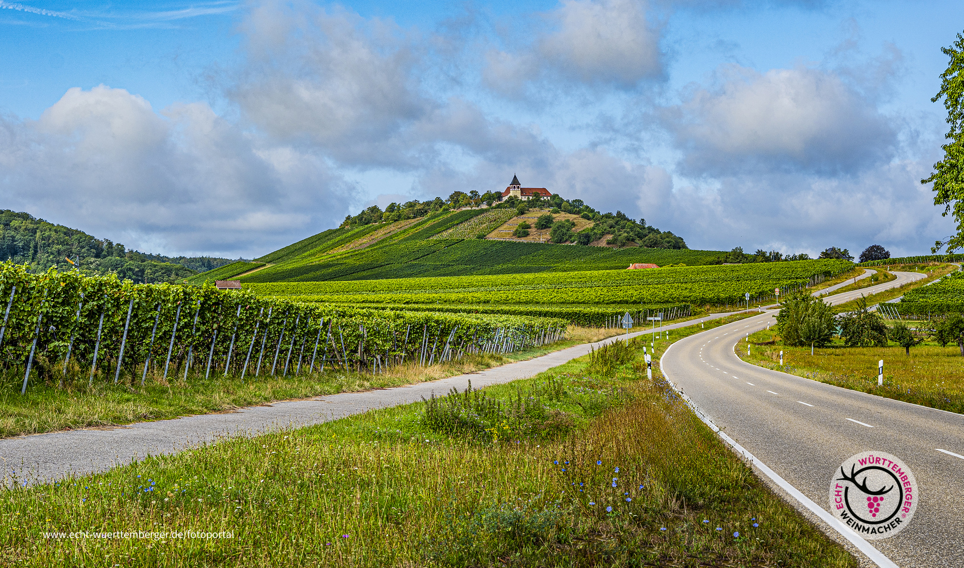 Wege in den Weinbergen
