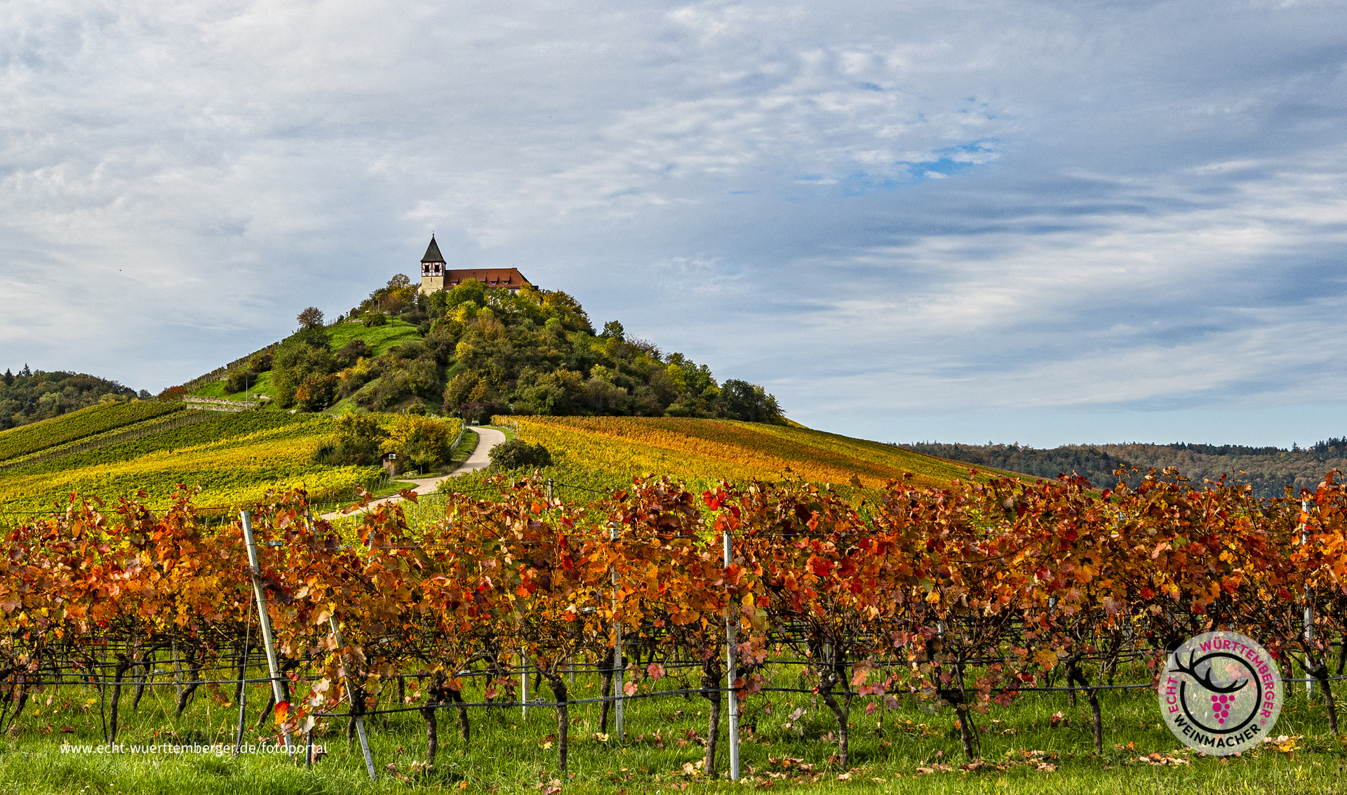 Herbstfarben im Weinberg