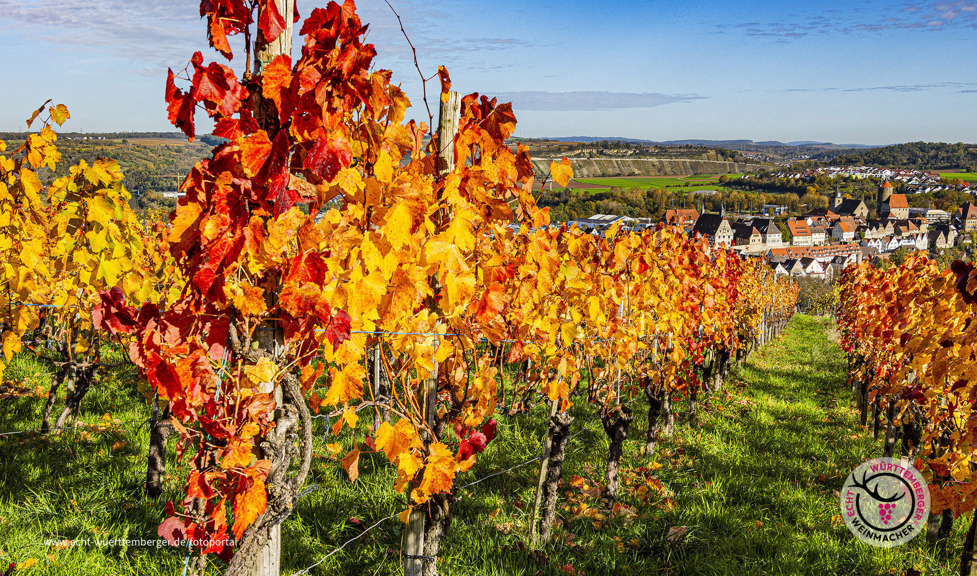 Der Herbst ist bunt