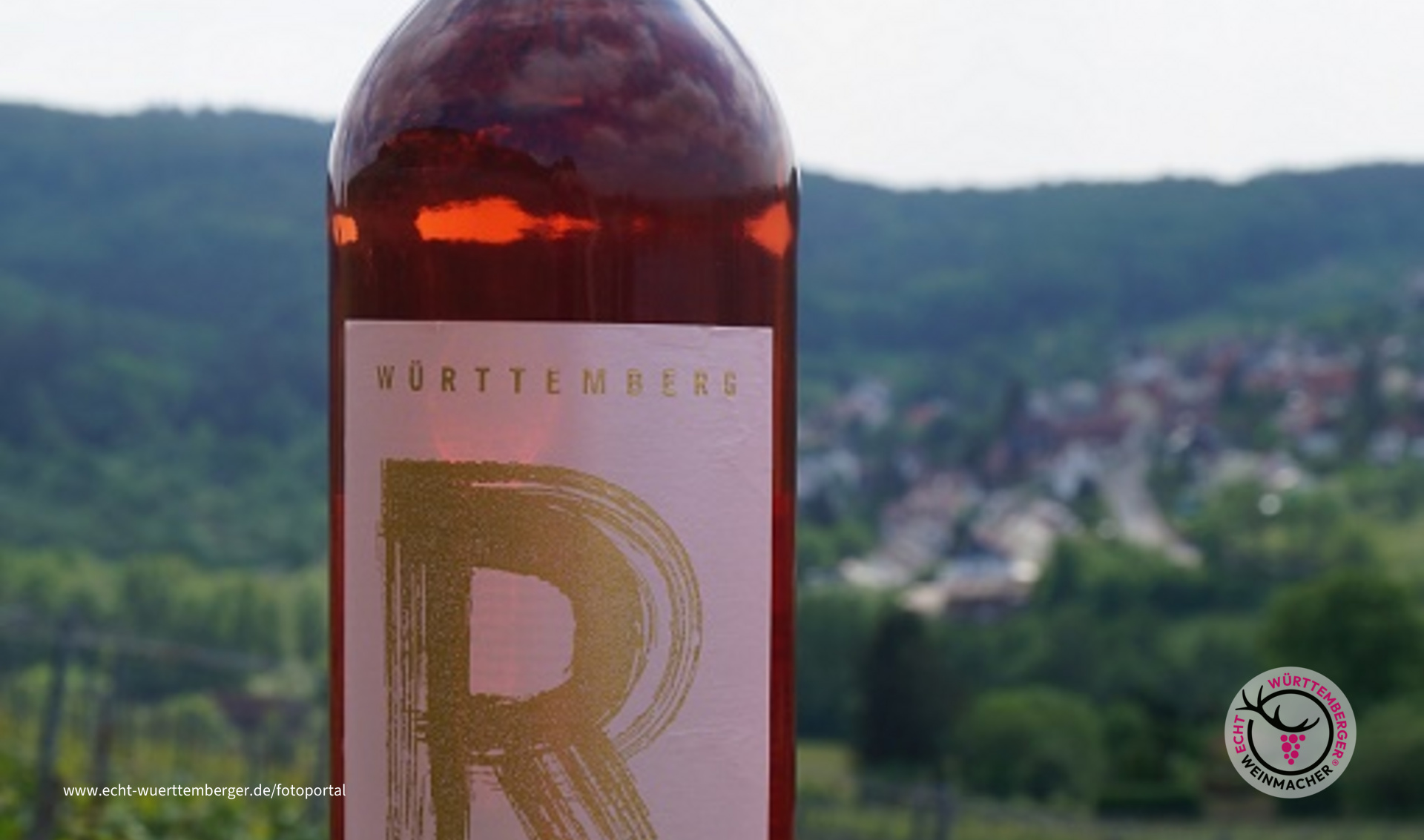 Im Württembergischen Weinberg