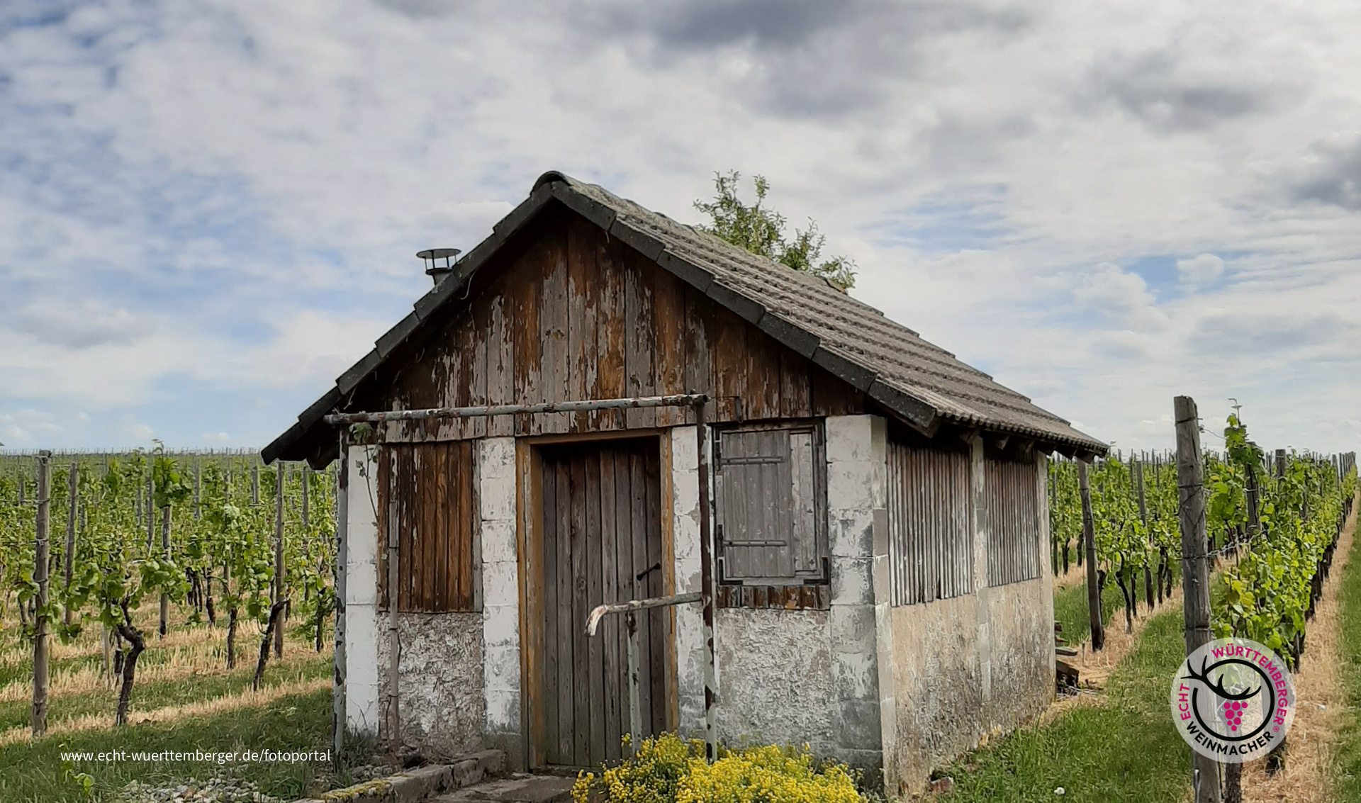Einsames Wengerterhaus in Brackenheim