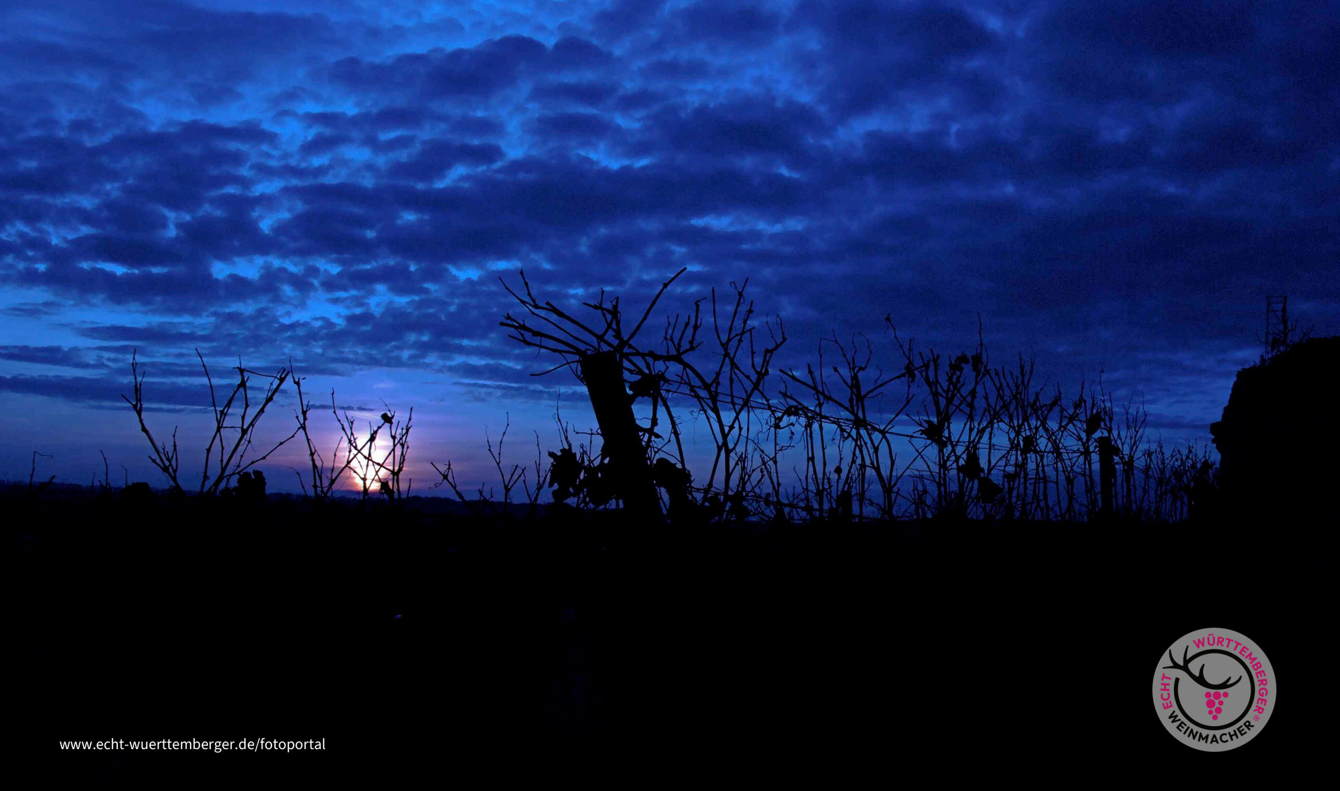 Nacht über den Weinbergen