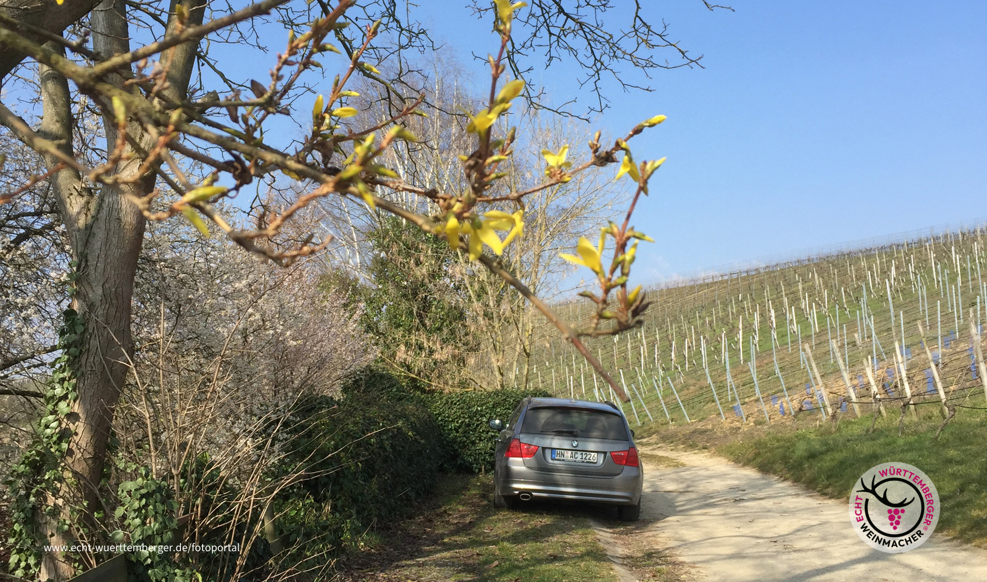 Frühlingsbeginn