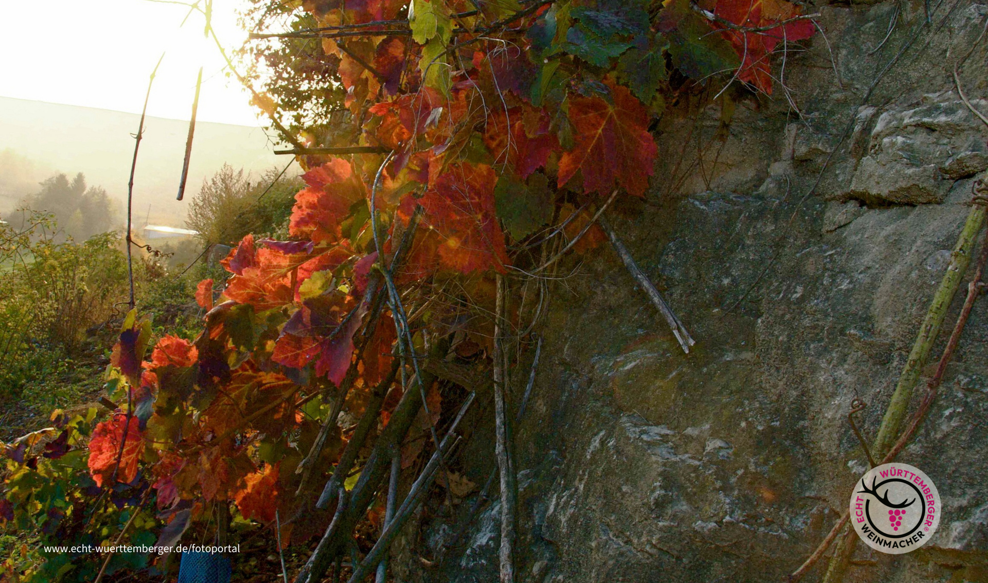 Herbst