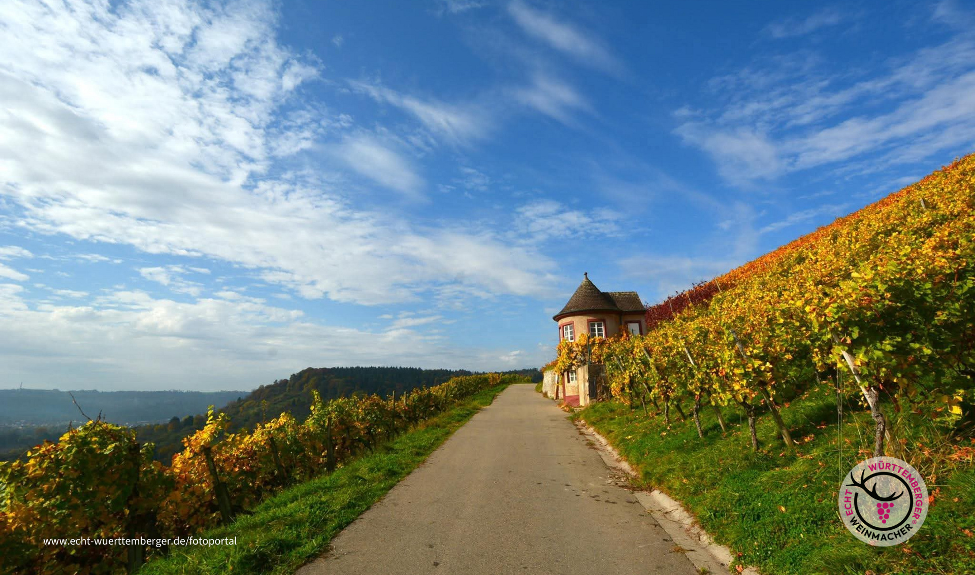 Herbstdiagonale
