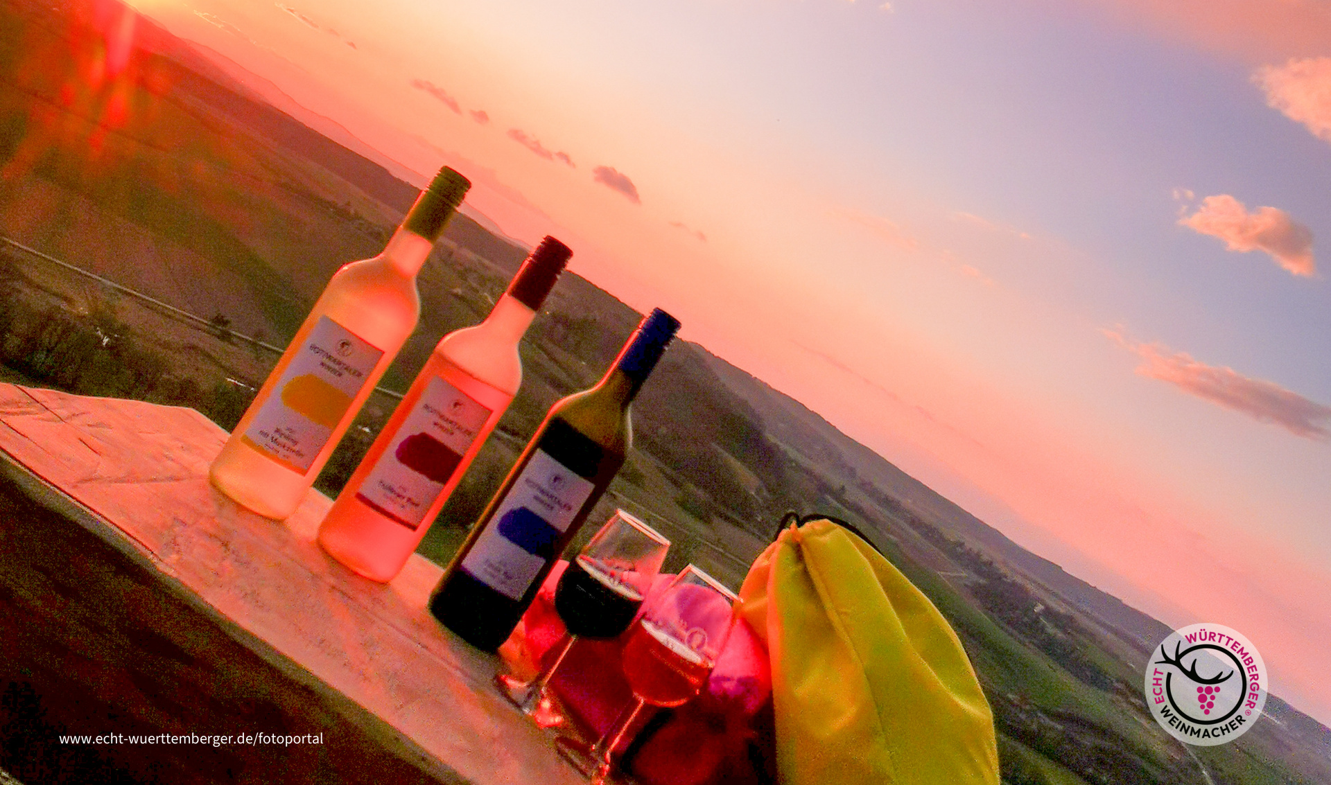 Save Water drink Wine