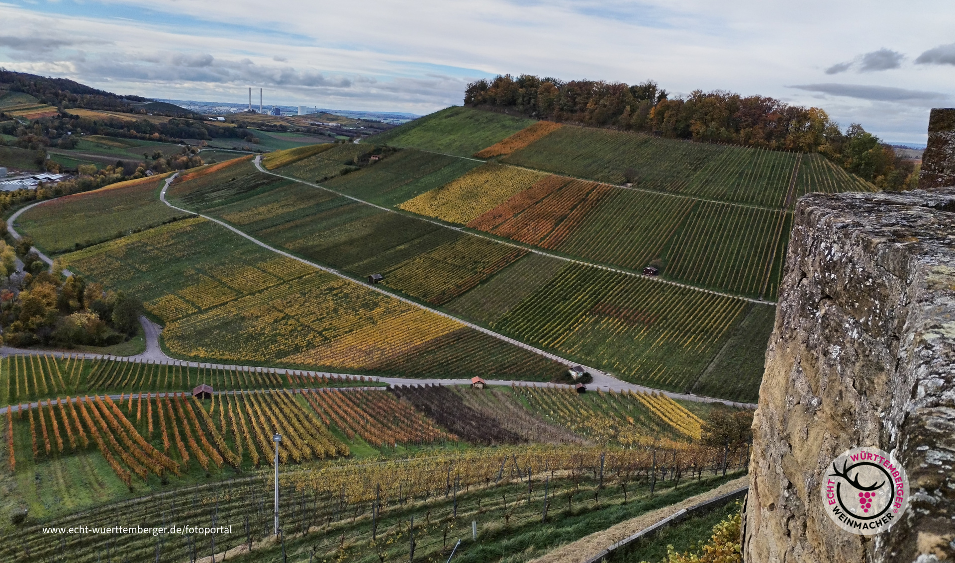Weinberge