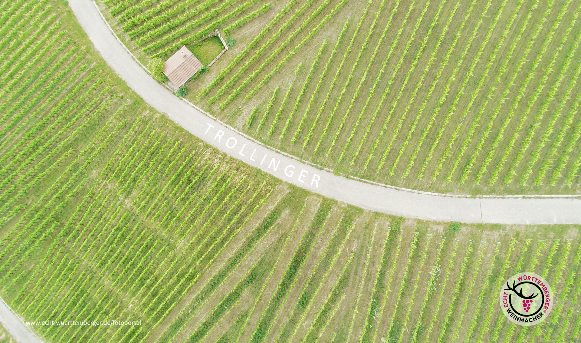 Württemberger Orginal