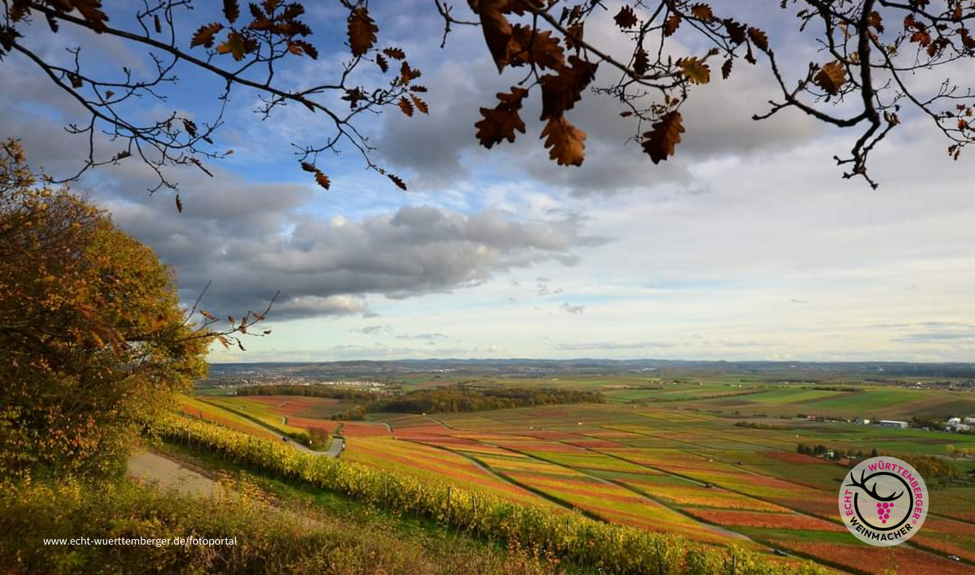Wein.Weit.Blick