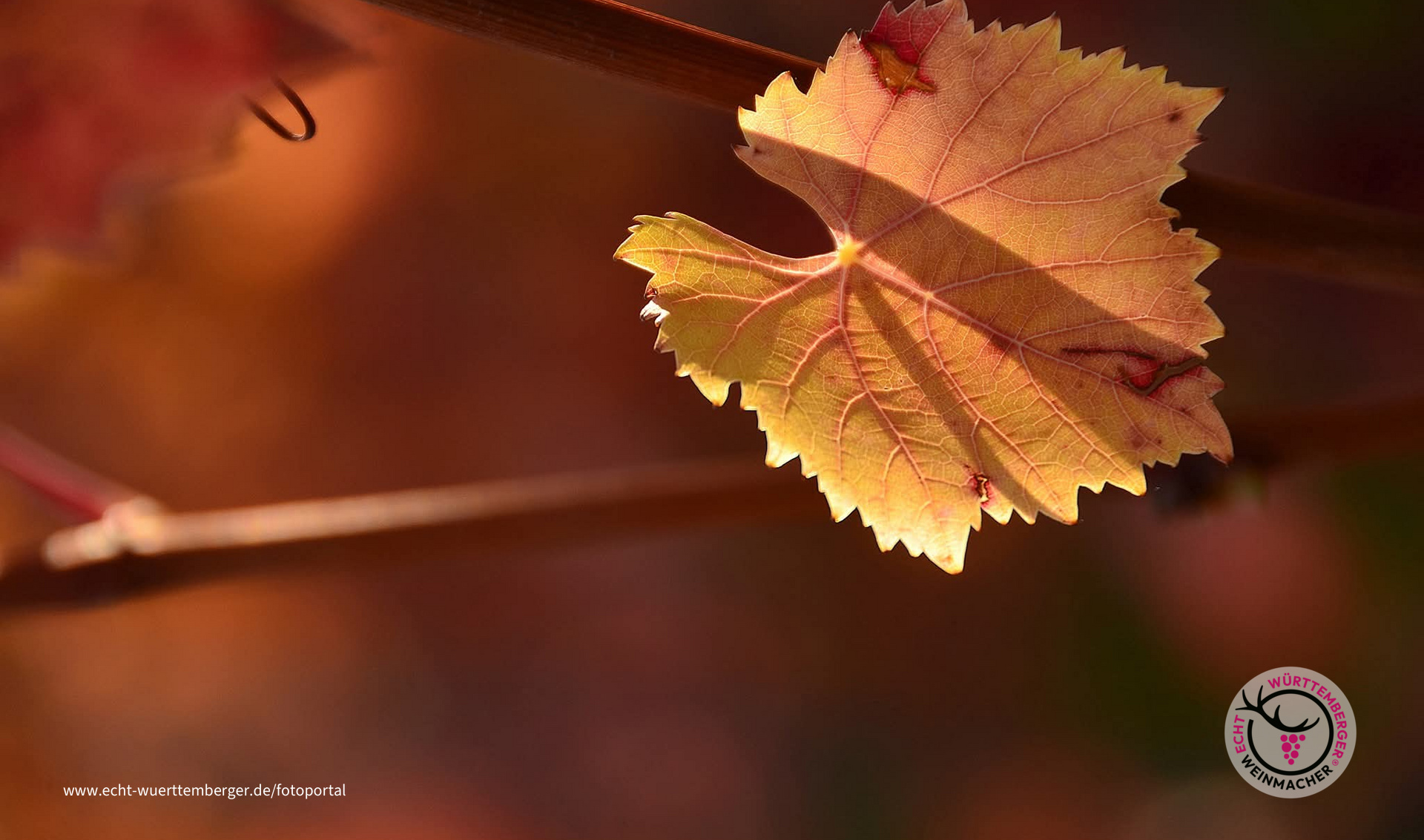 Indian Summer minimalistisch 