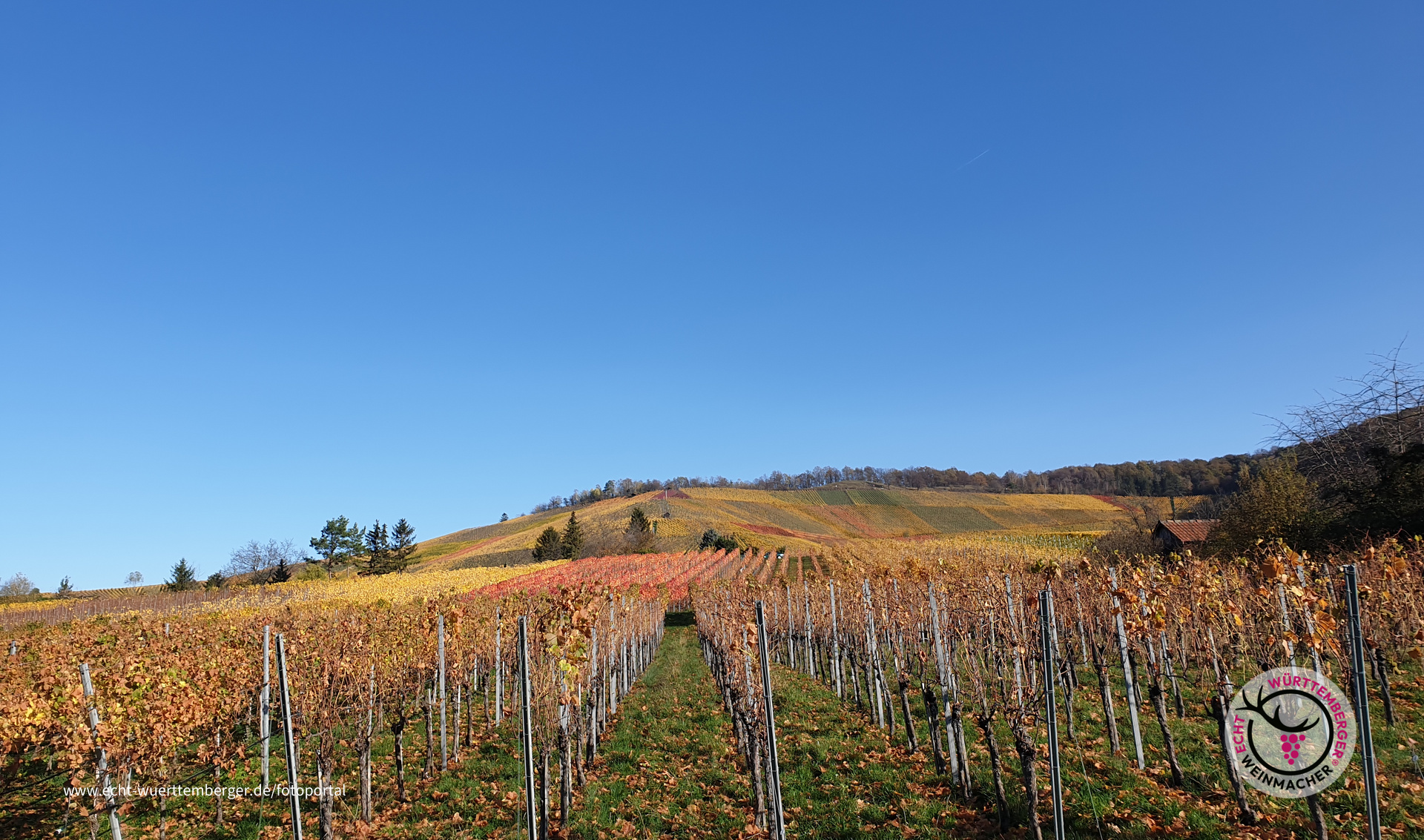 Goldener Herbst