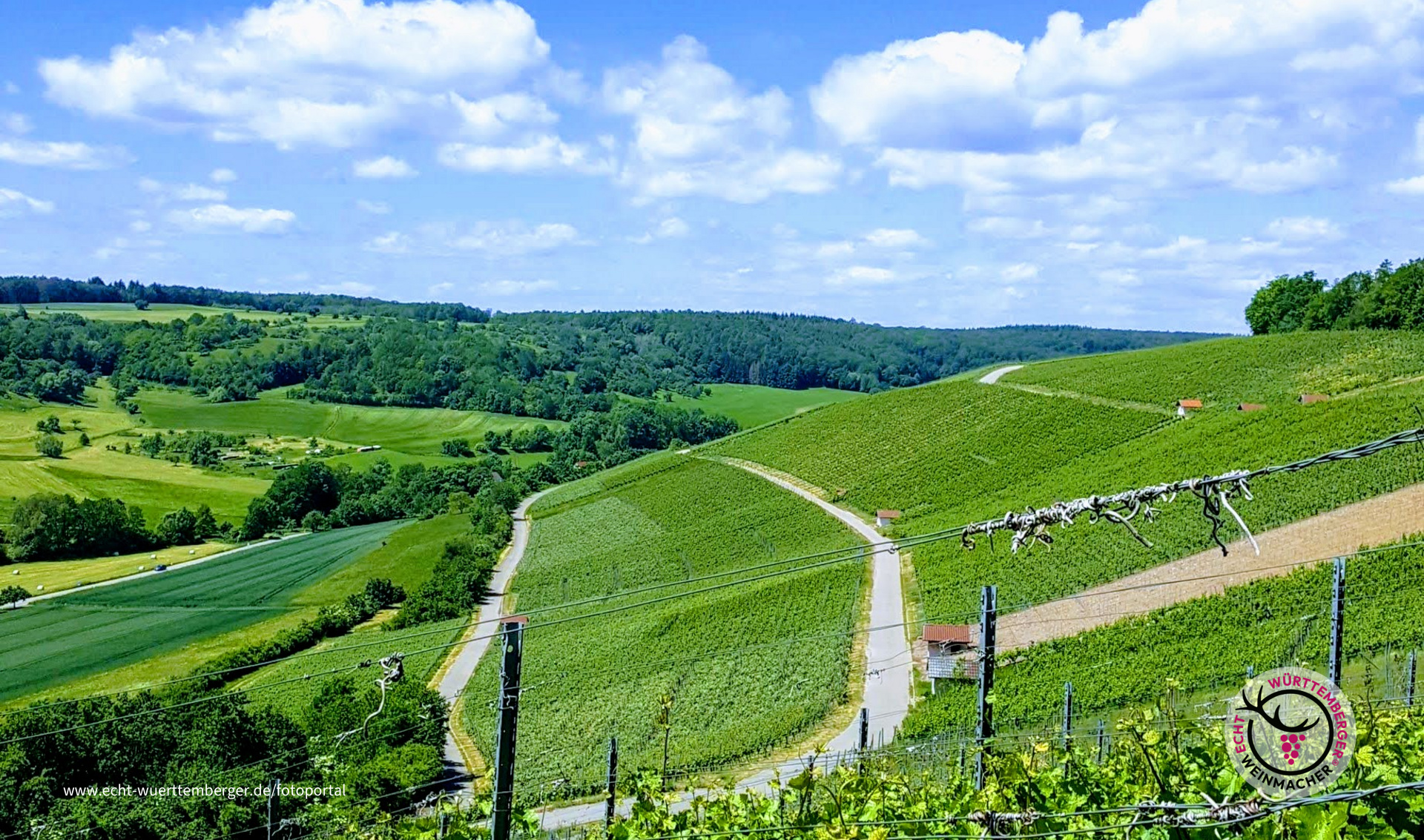 Der Stromberg bei Häfnerhaslach