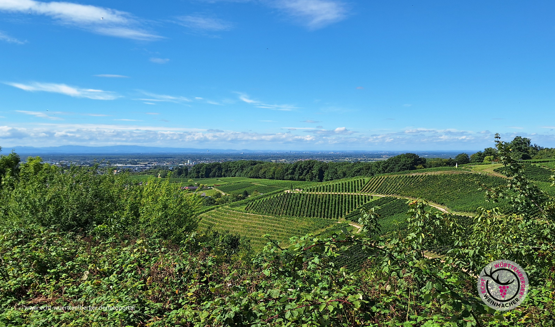 Ausblick