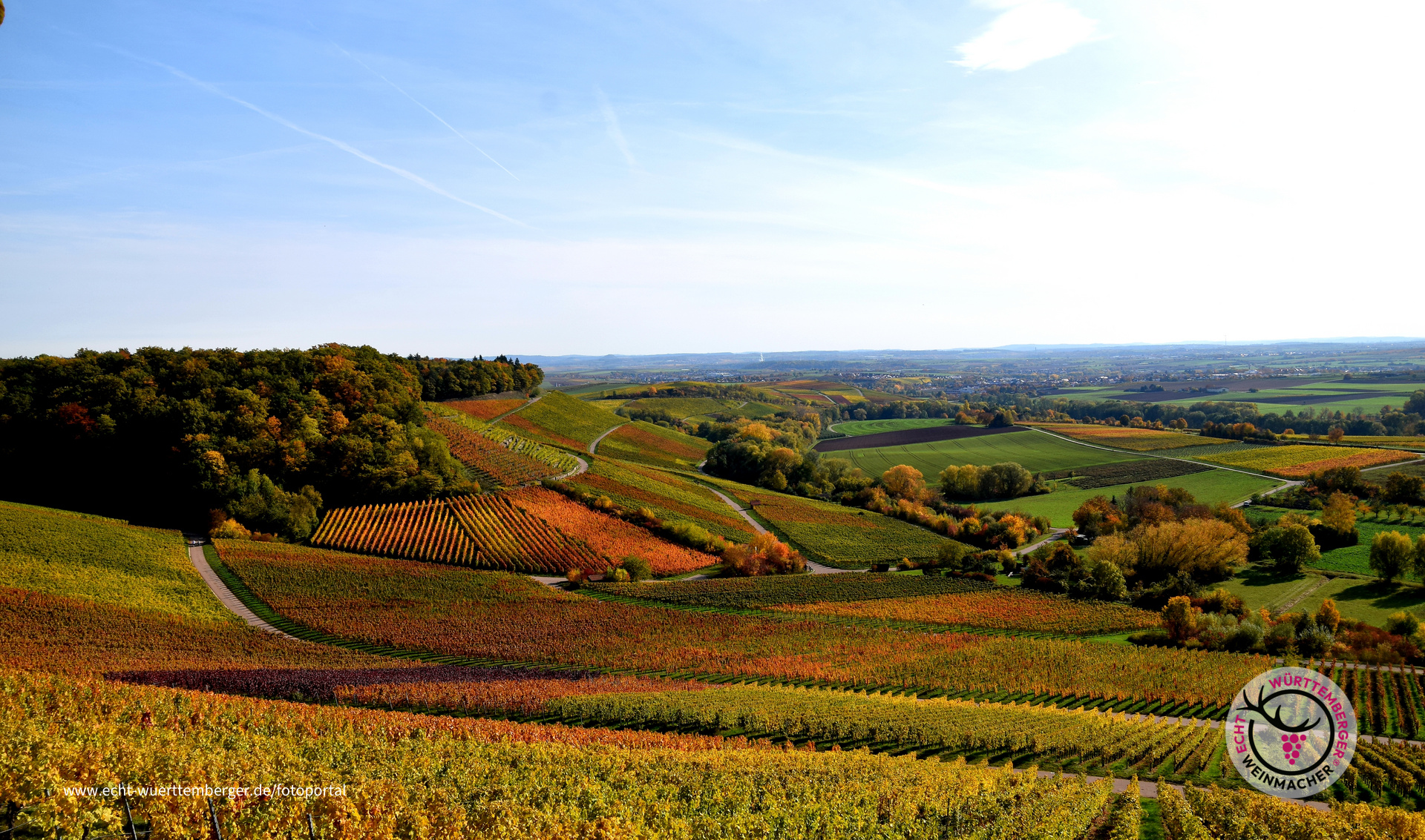 Farbenpracht Inden Weinbergen