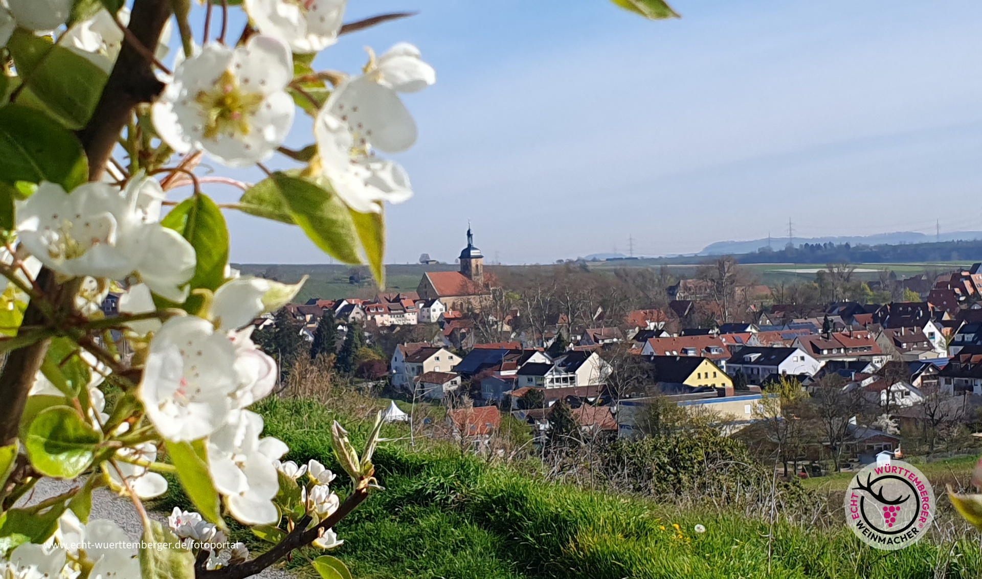 Lauffener Frühlingsbote