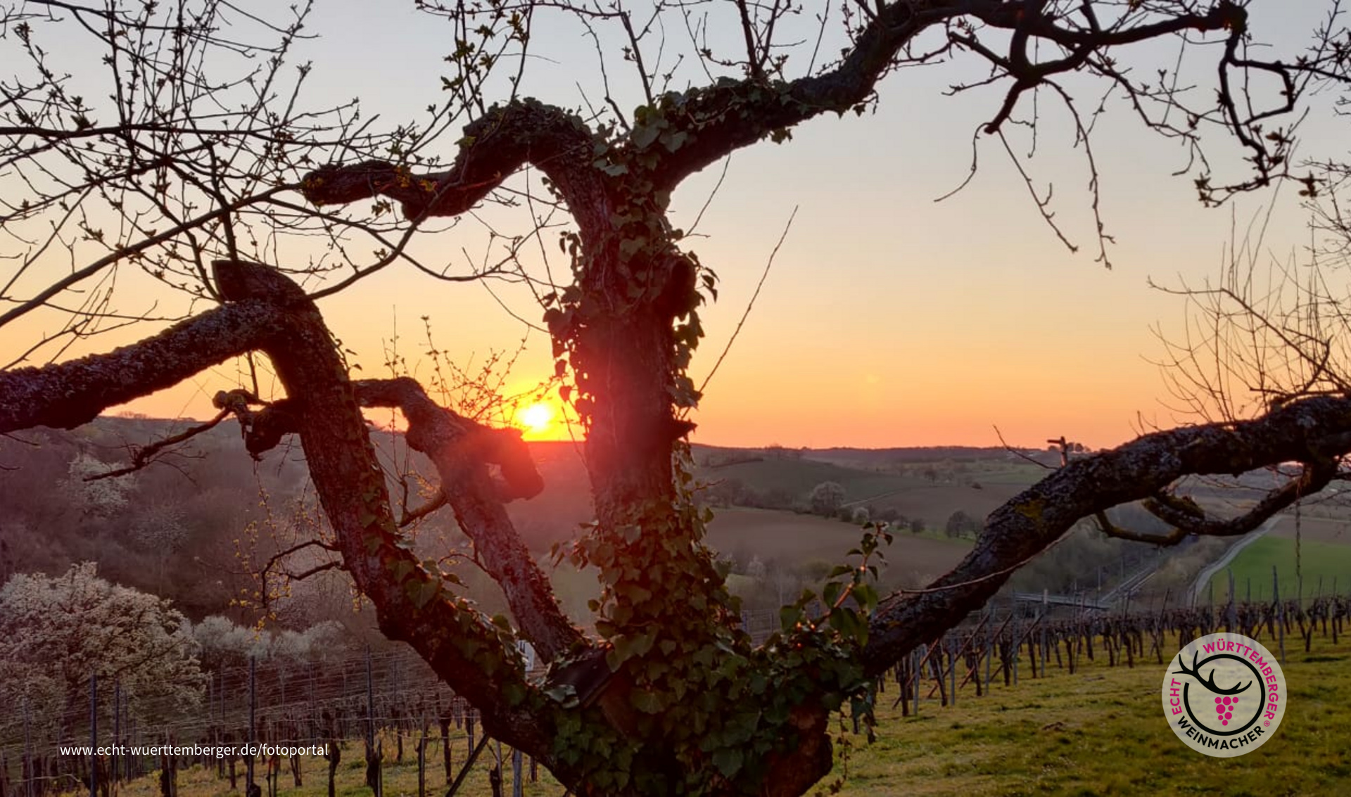 Sonnenuntergang 