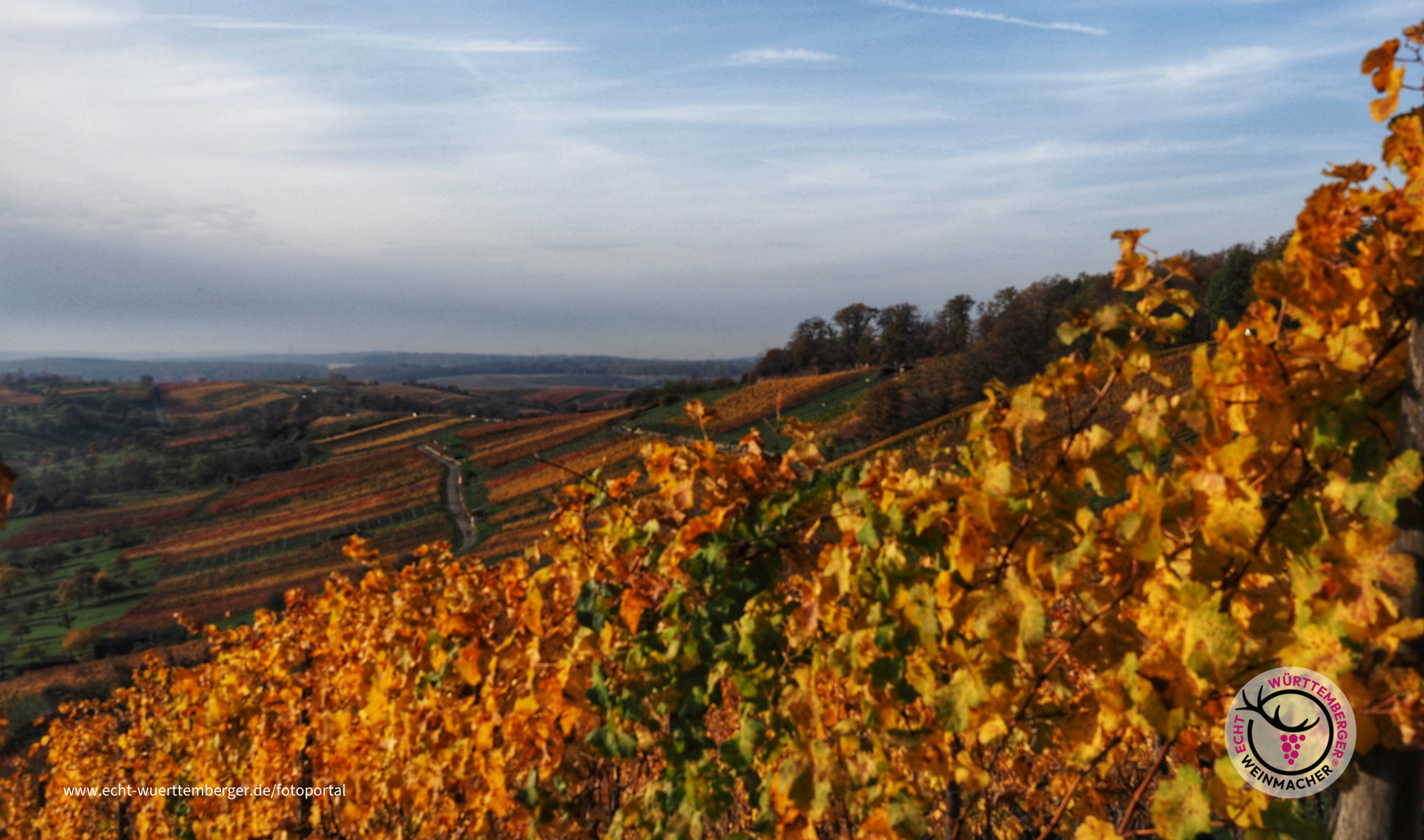 Blick vom Derdinger Horn