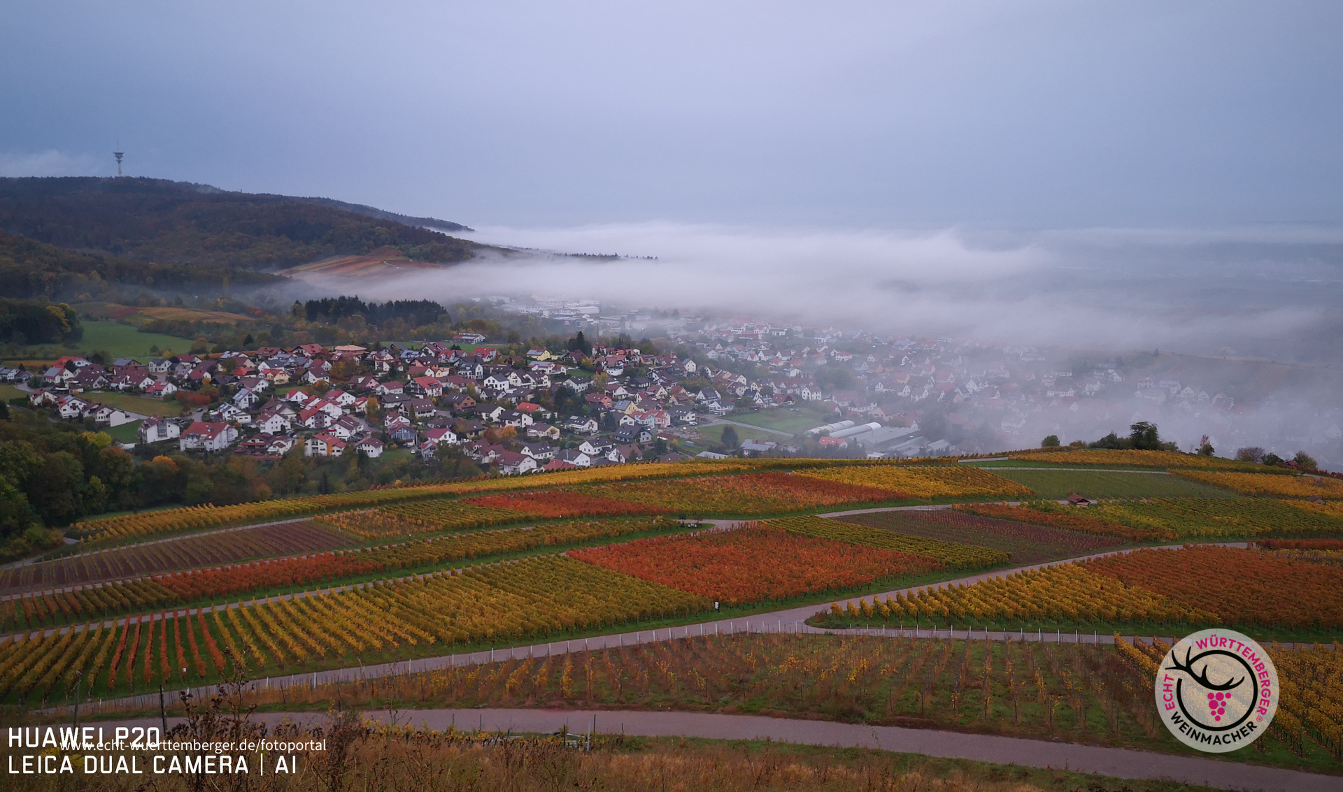 Cleebronner Nebel