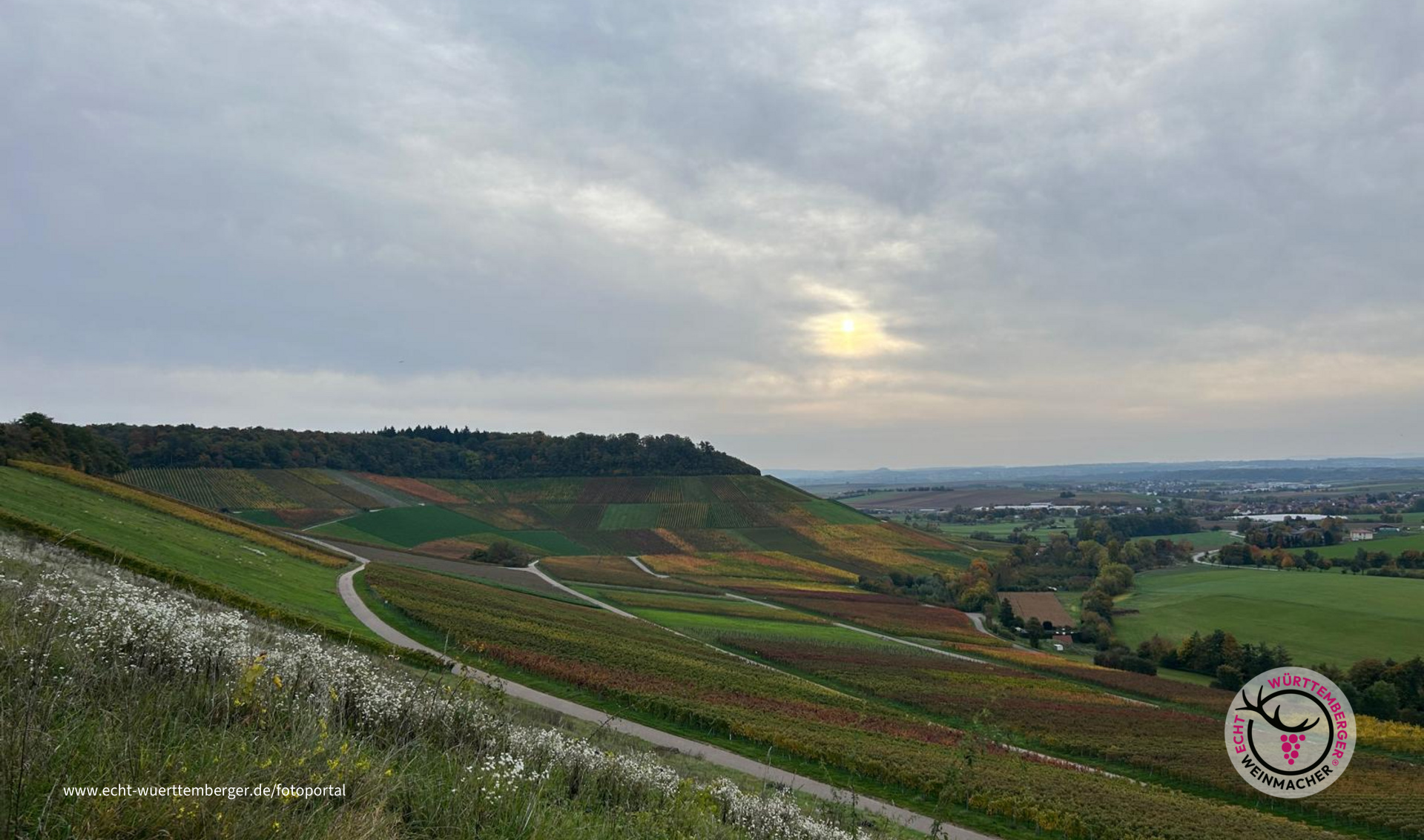 Brackenheim : Wein und Wandern!