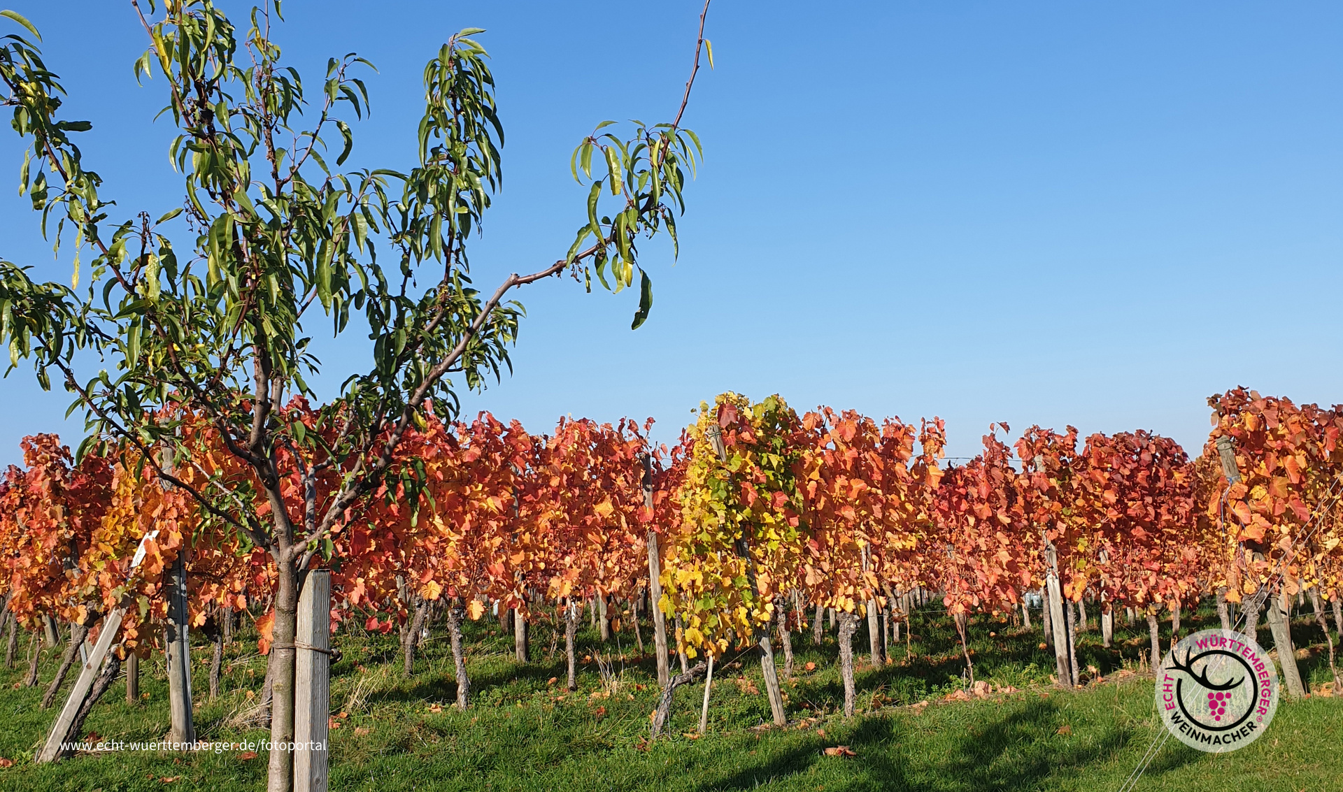 Herbstliches Naturschauspiel