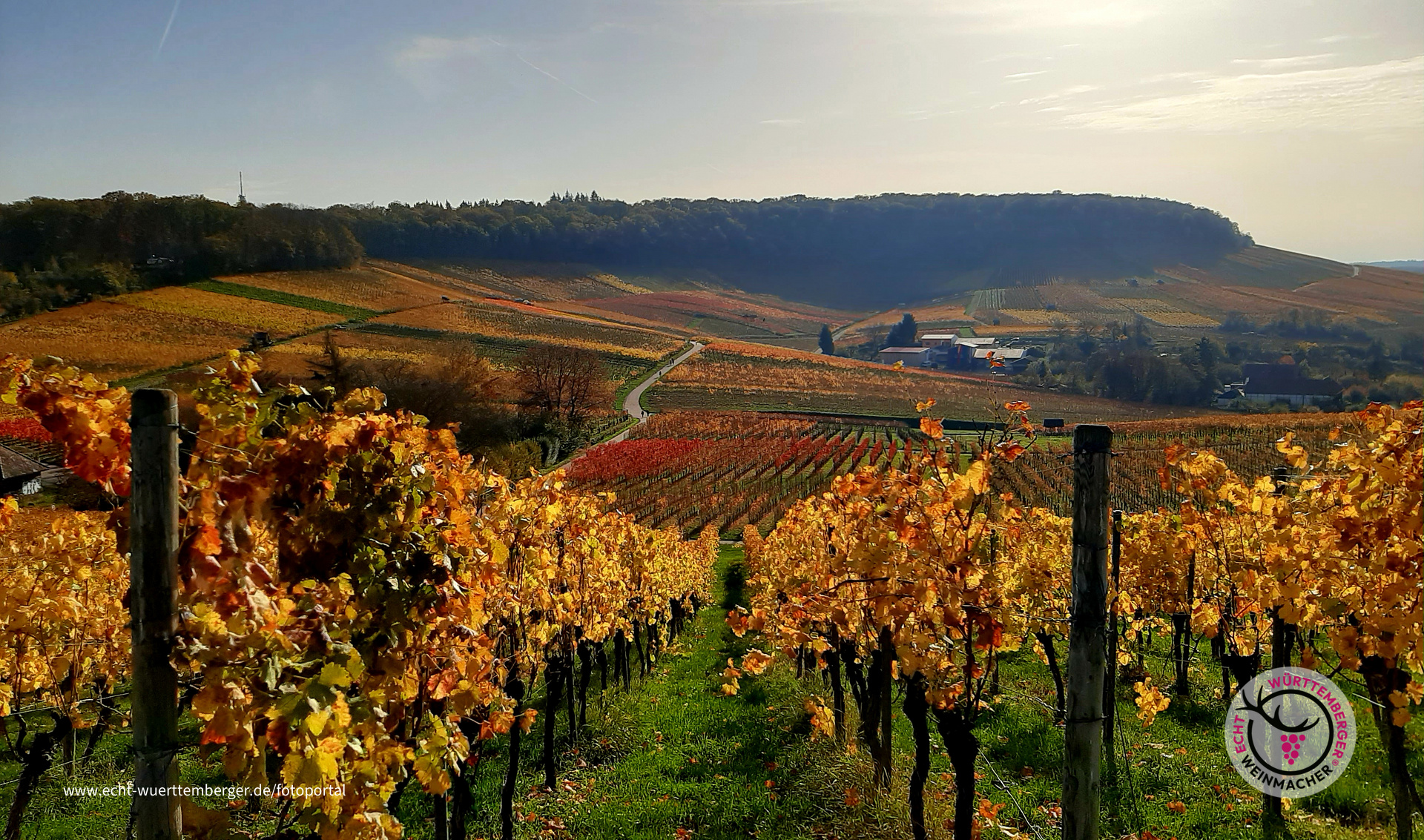 Herbstsonne genießen