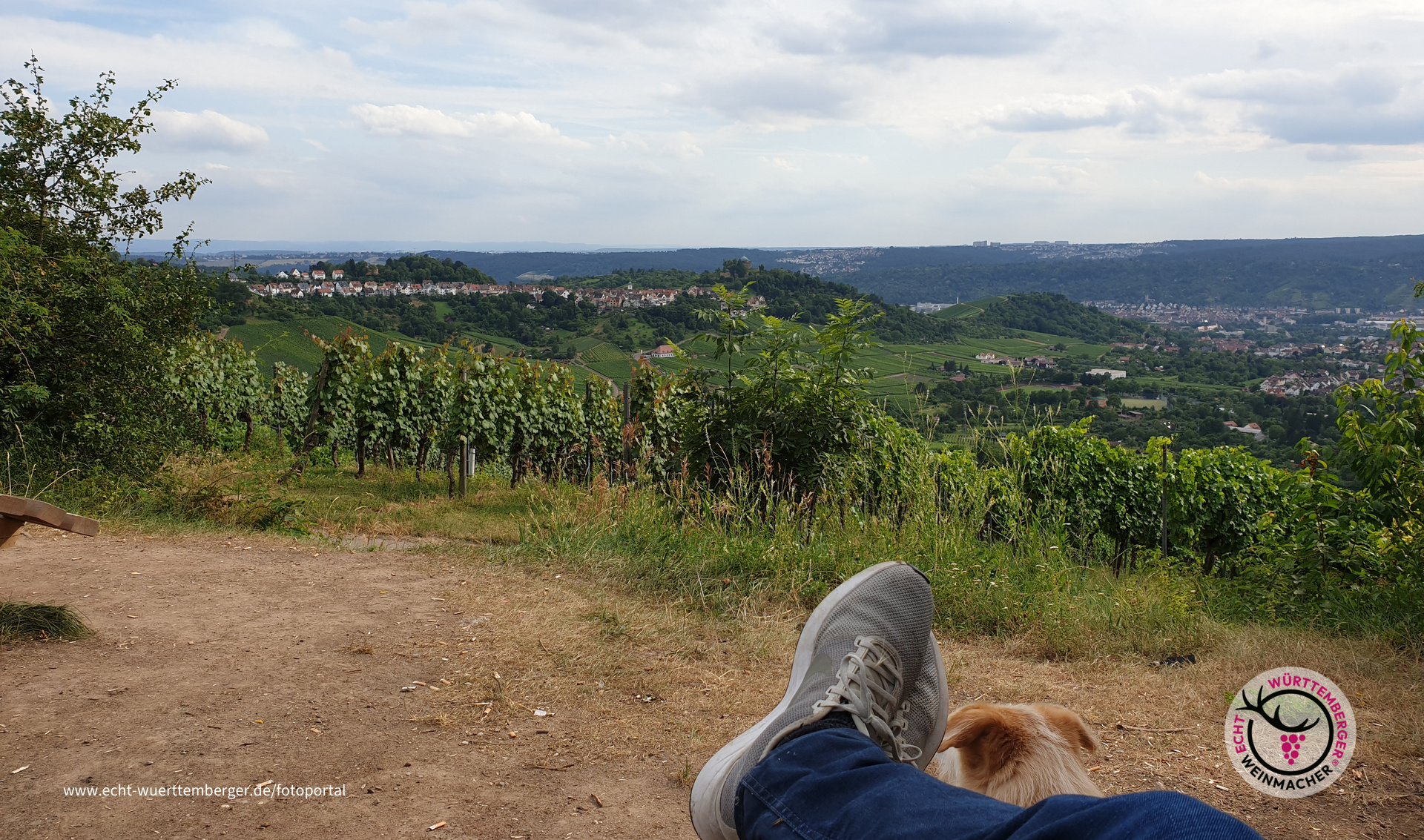 Der Zauber des Kappelberg