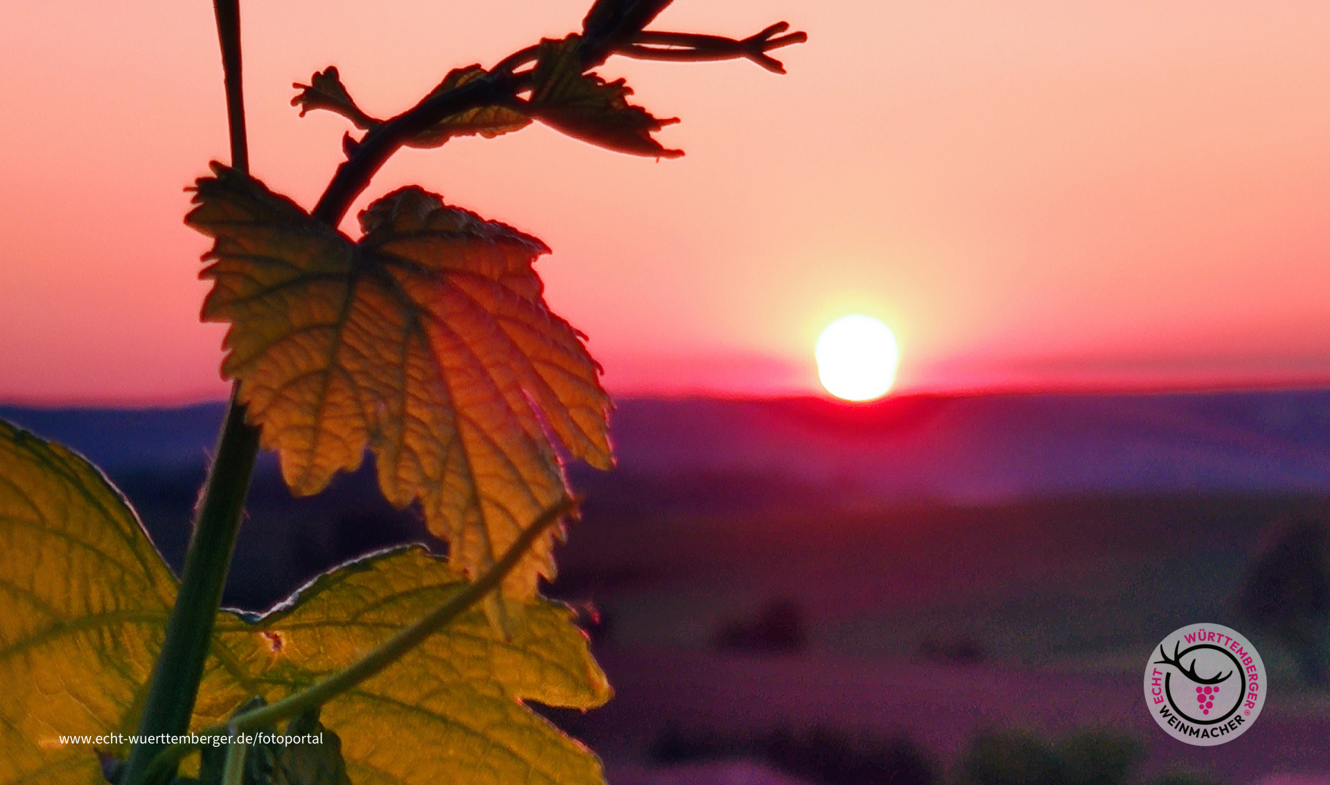 Sonnenuntergang