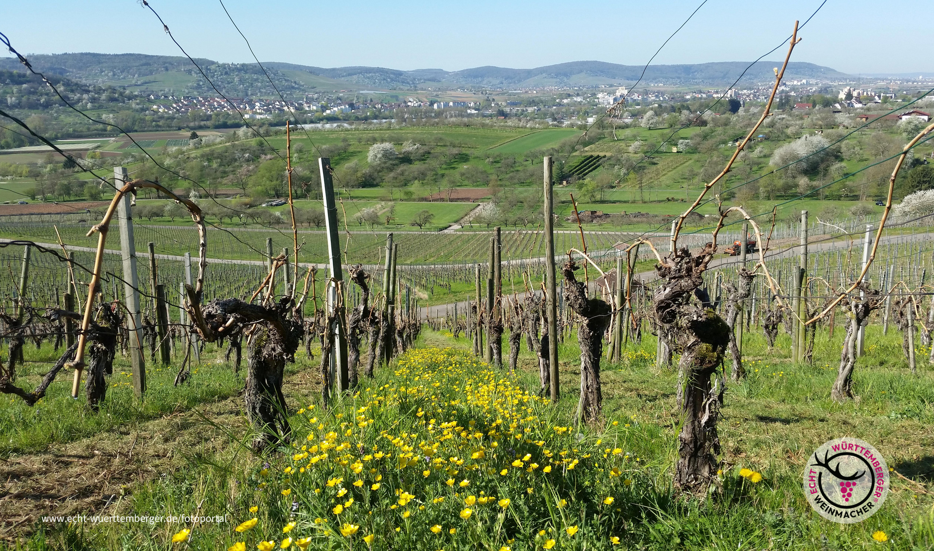 Frühling im Remstal