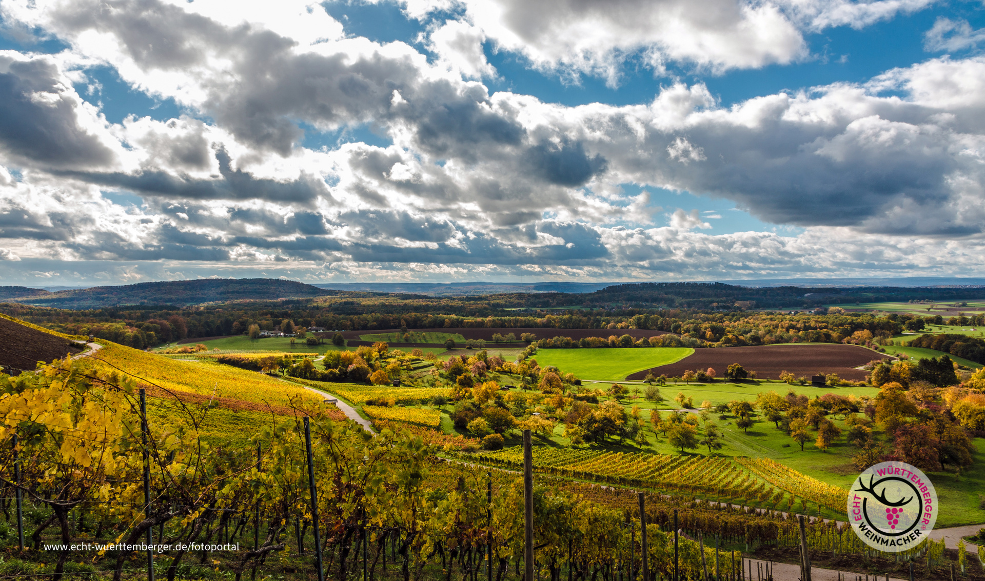 Weinberge bei Diefenbach