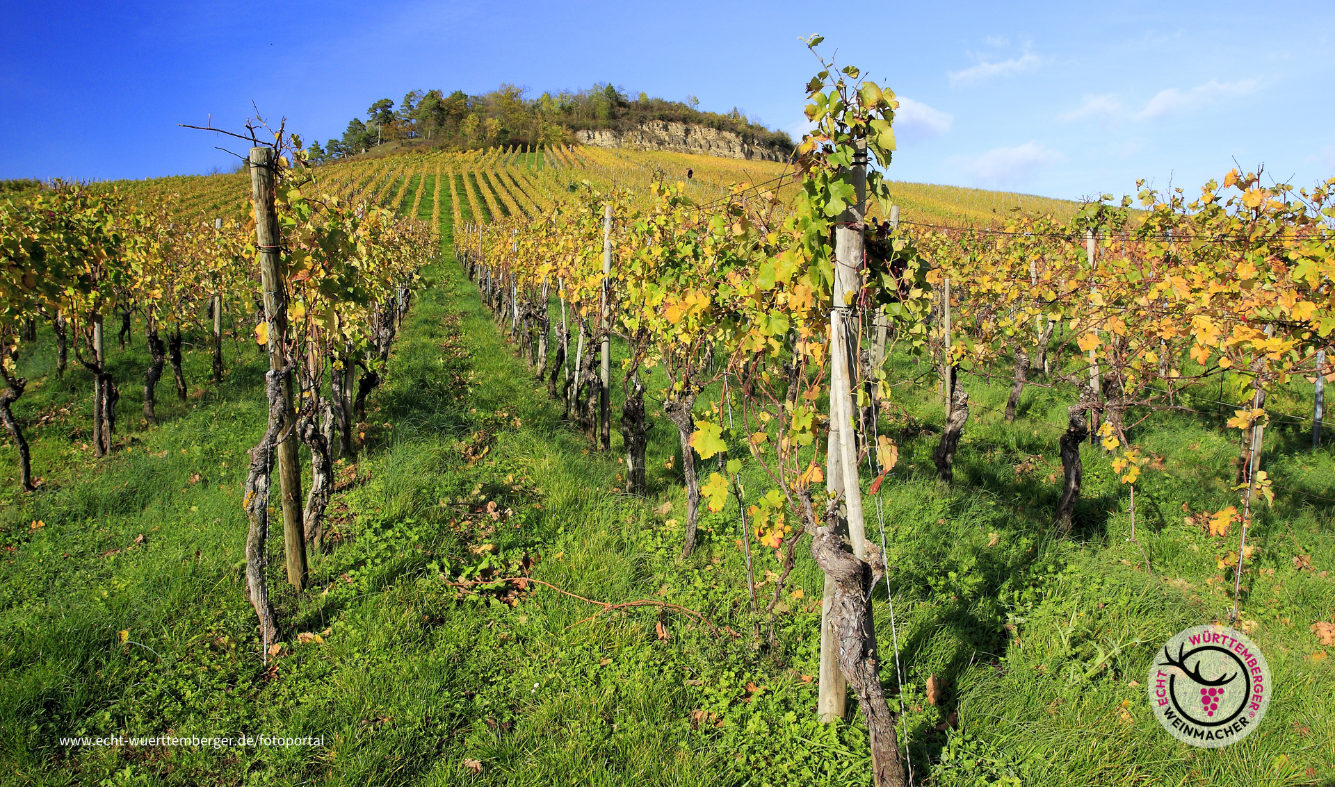 Felsengarten im Oktober