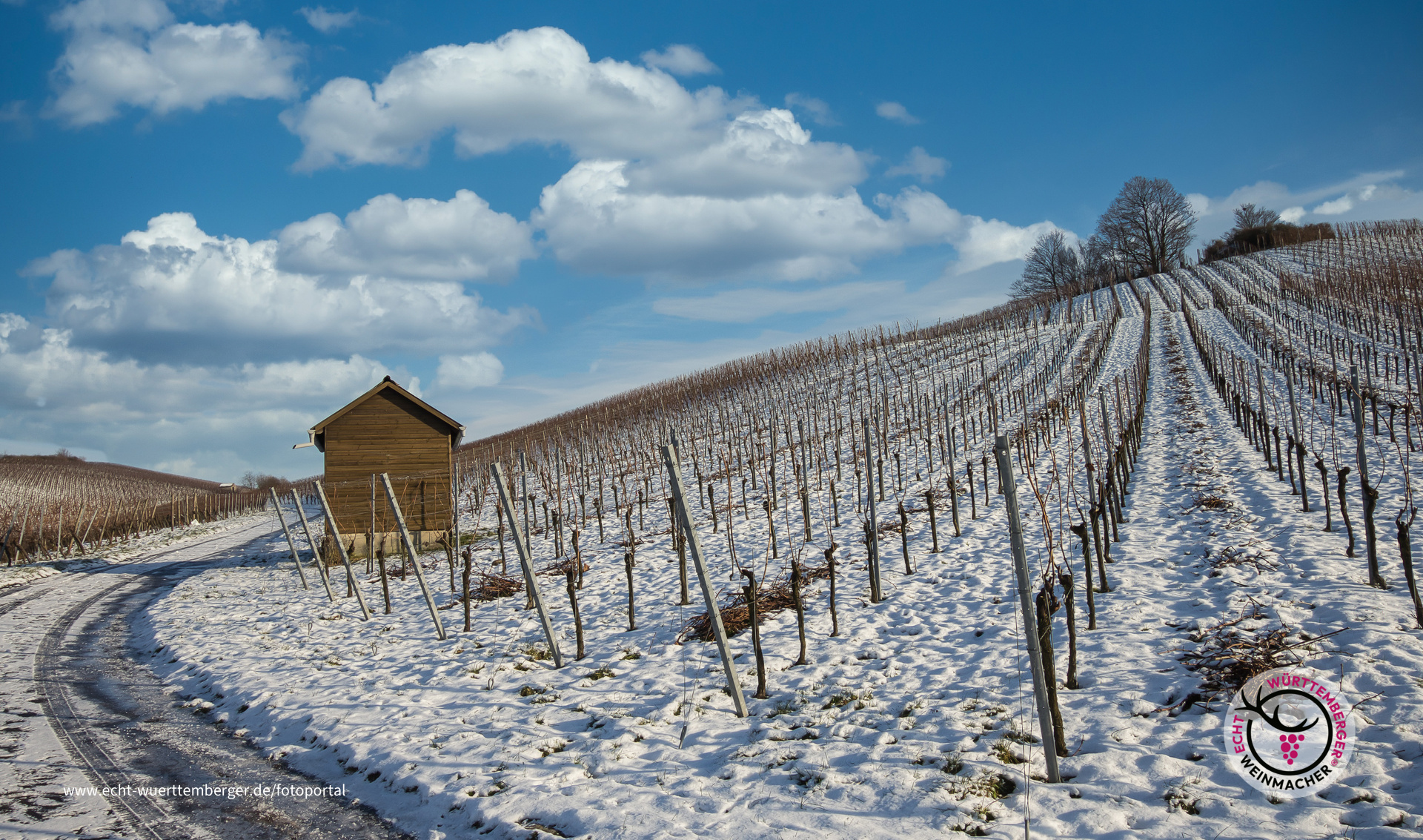 Der Stiftsberg in Heilbronn