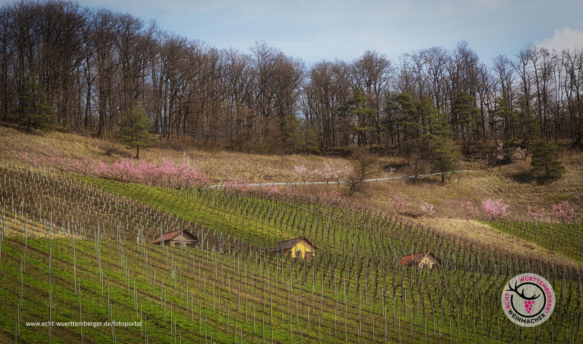 Diefenbach am Stromberg