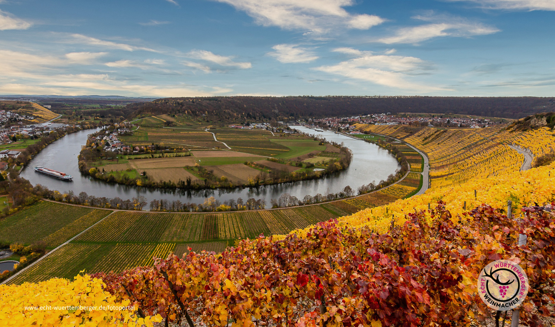 Neckarschleife bei Hessigheim