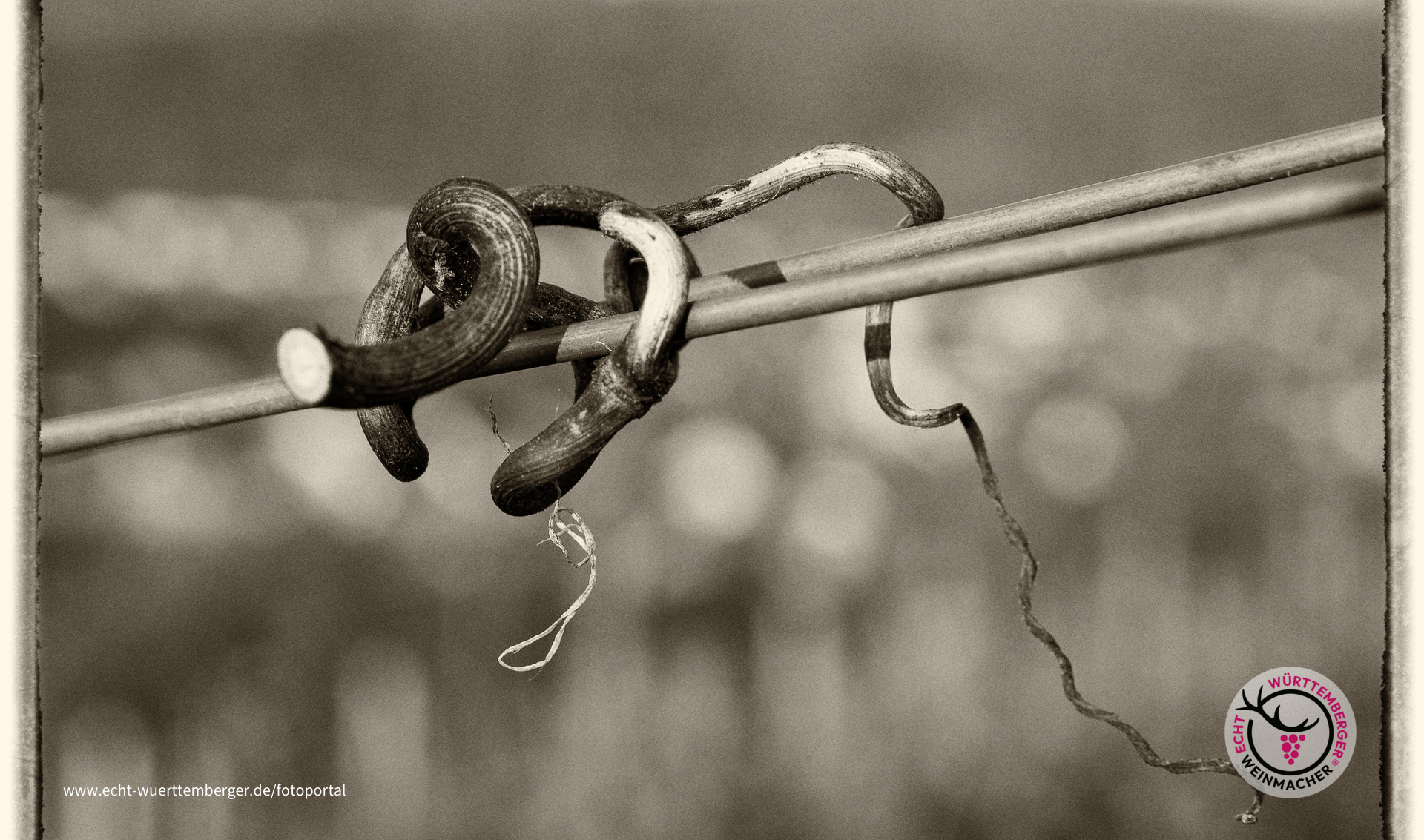 Warten...........