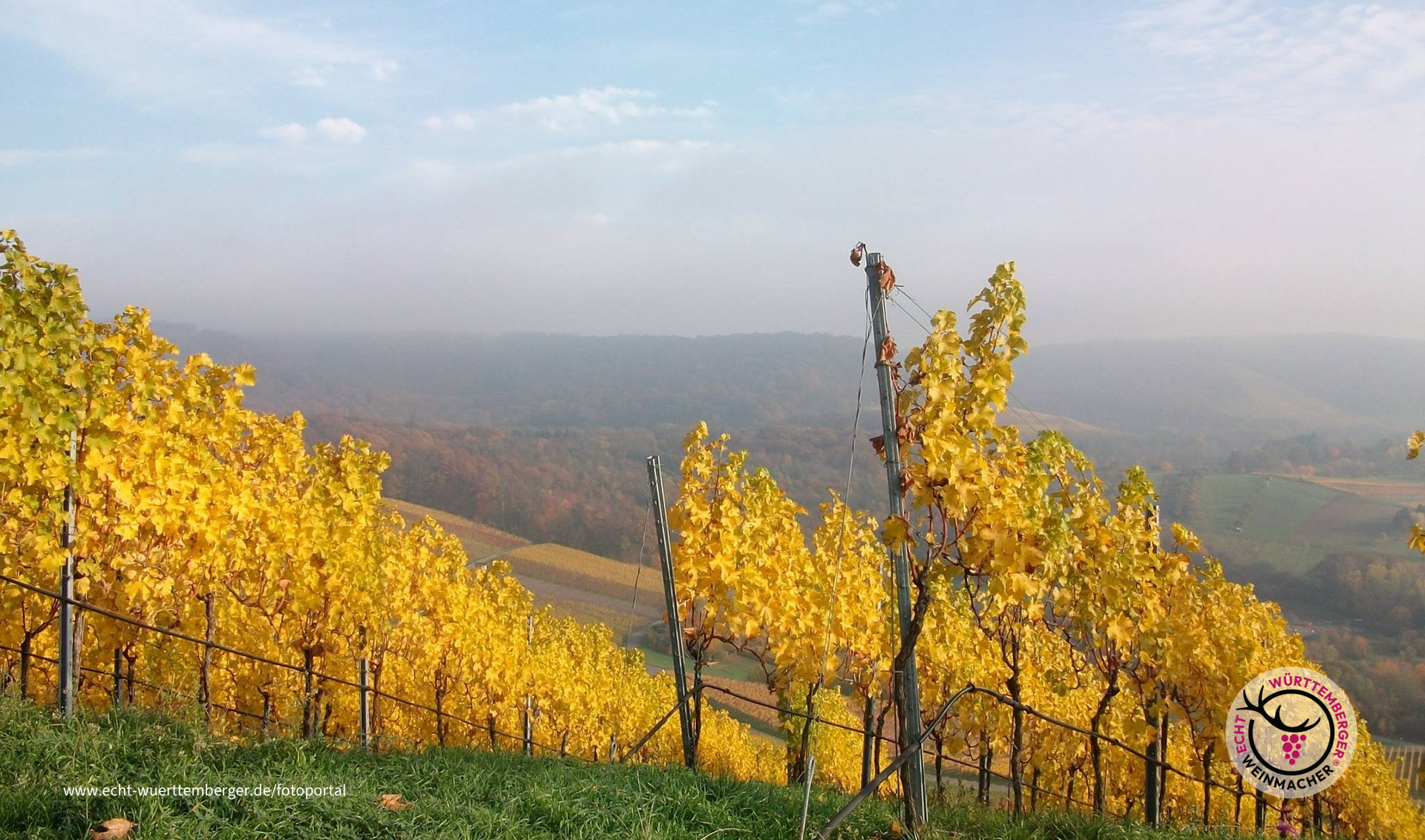 Der Scheuerberg Neckarsulm im Herbst