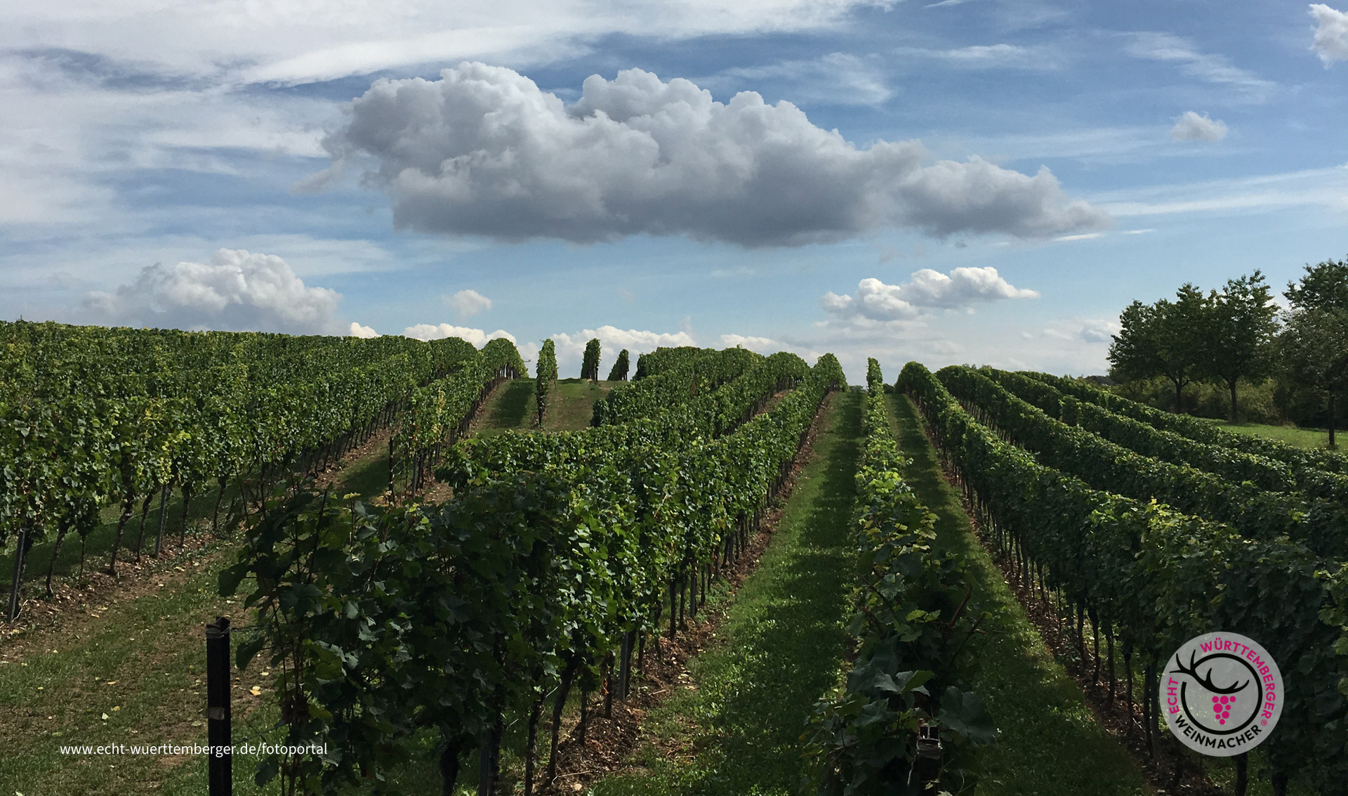 Weinwanderung 2019