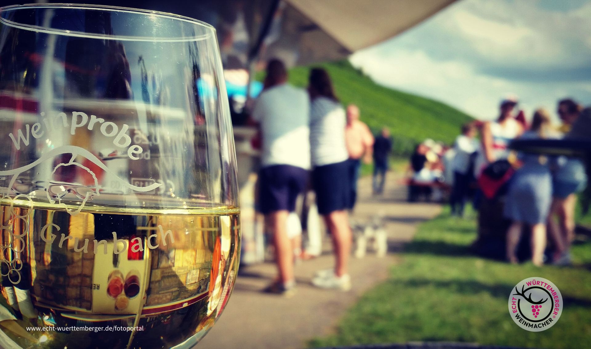 Weinprobe in den Weinbergen